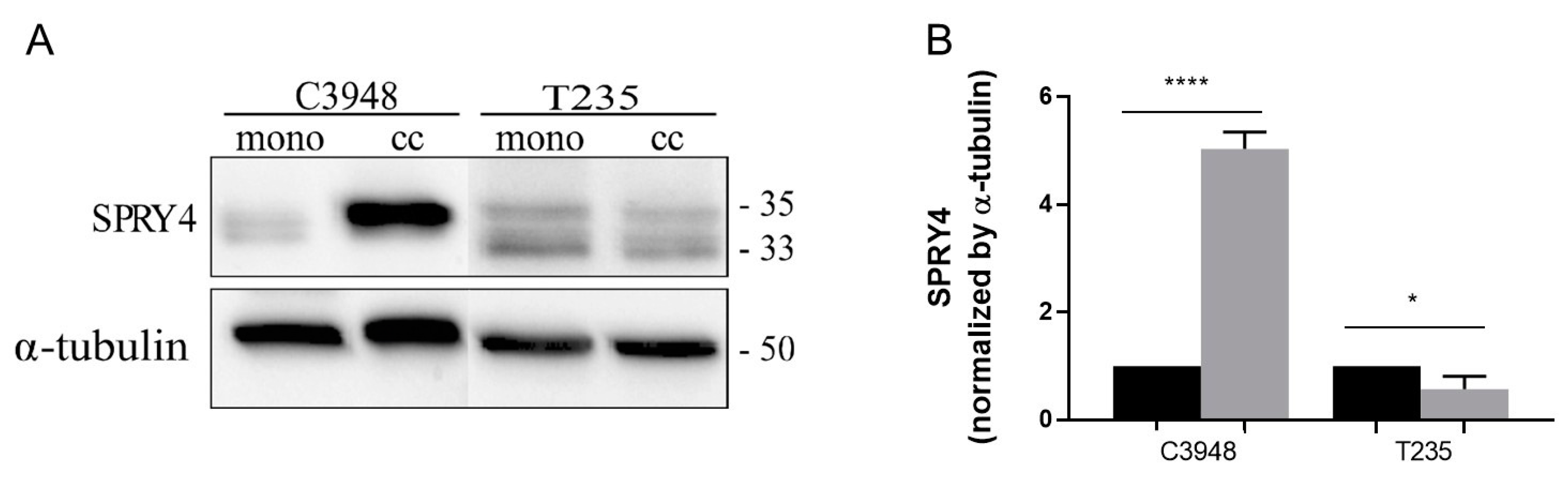 Cancers 15 04387 g008