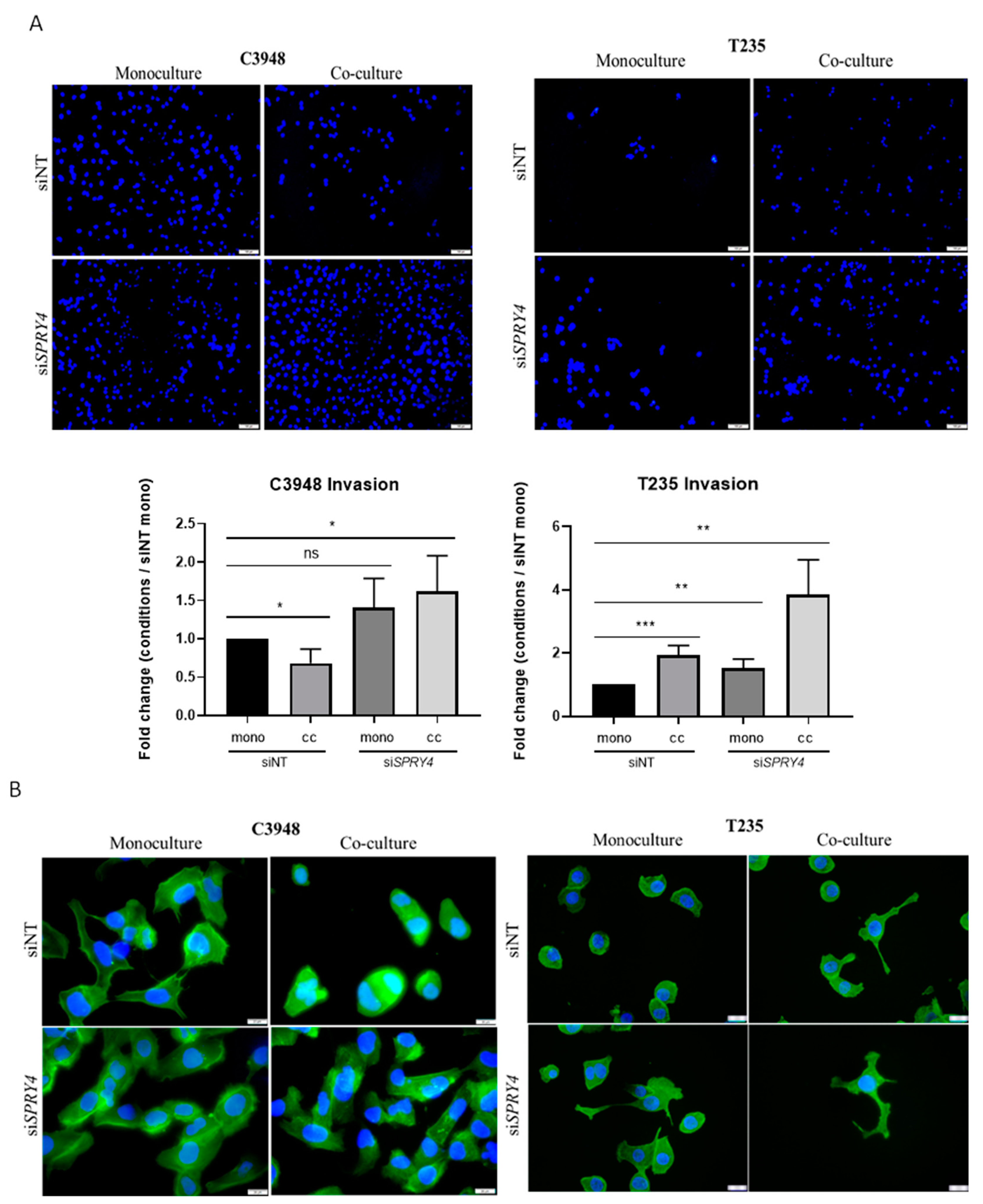 Cancers 15 04387 g009