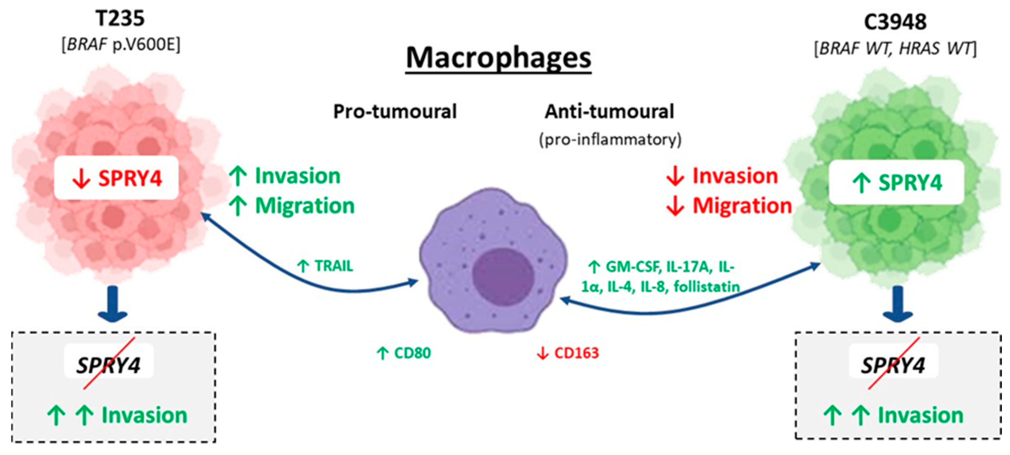 Cancers 15 04387 g010