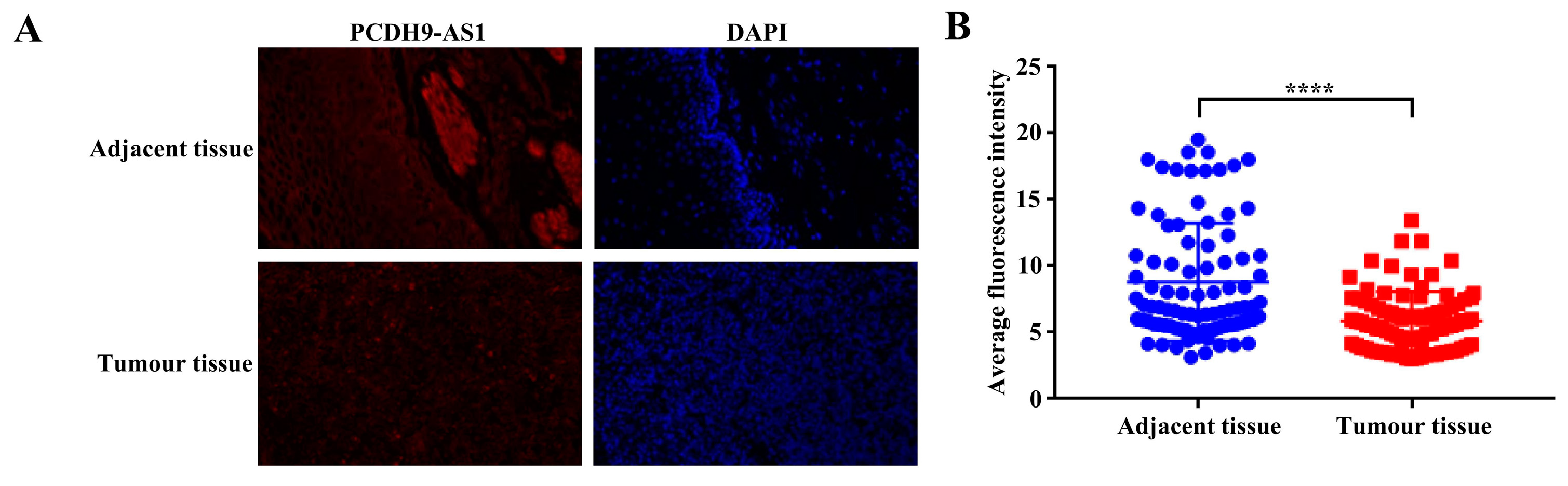 Cancers 15 04399 g009