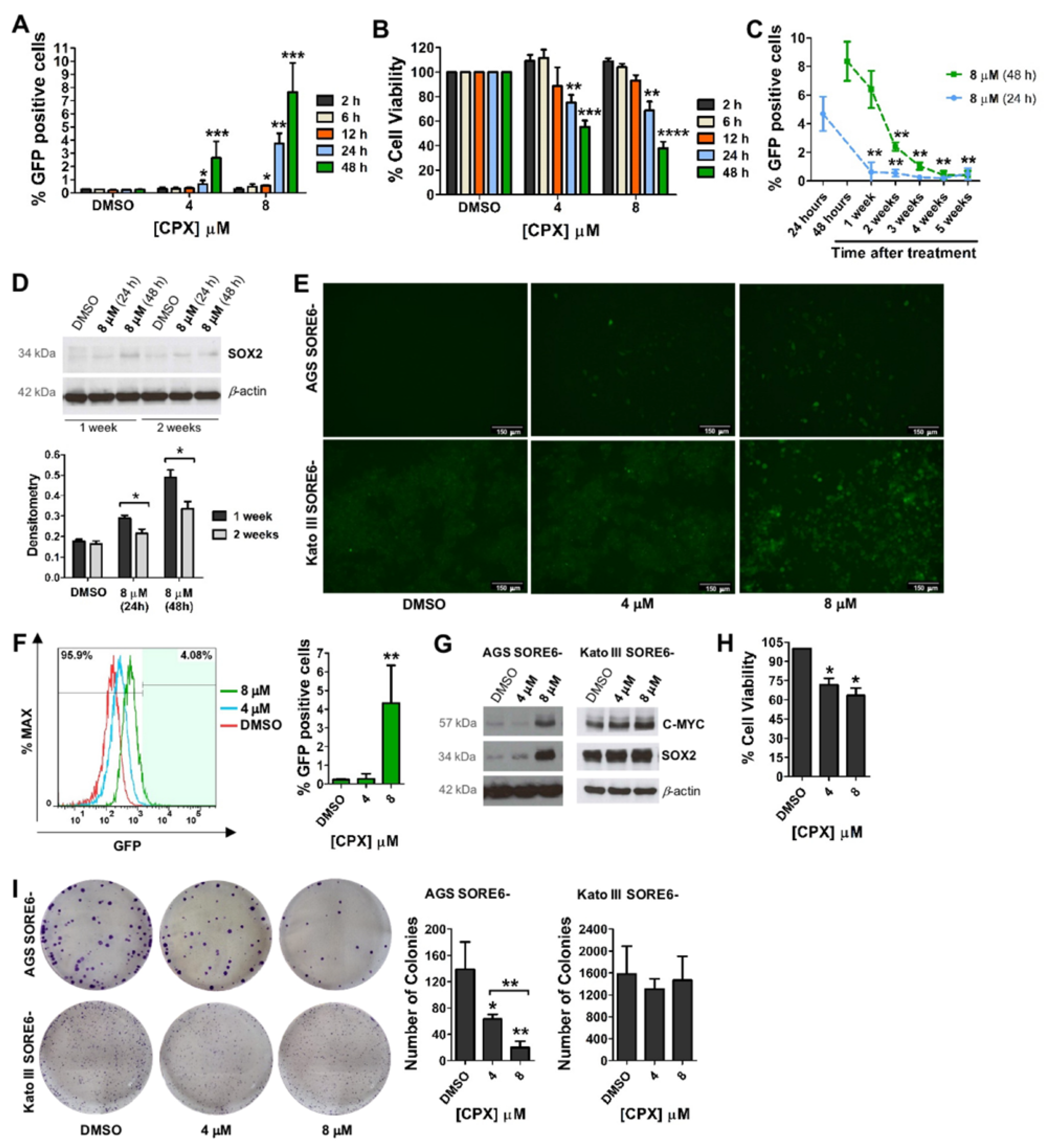 Cancers 15 04406 g002
