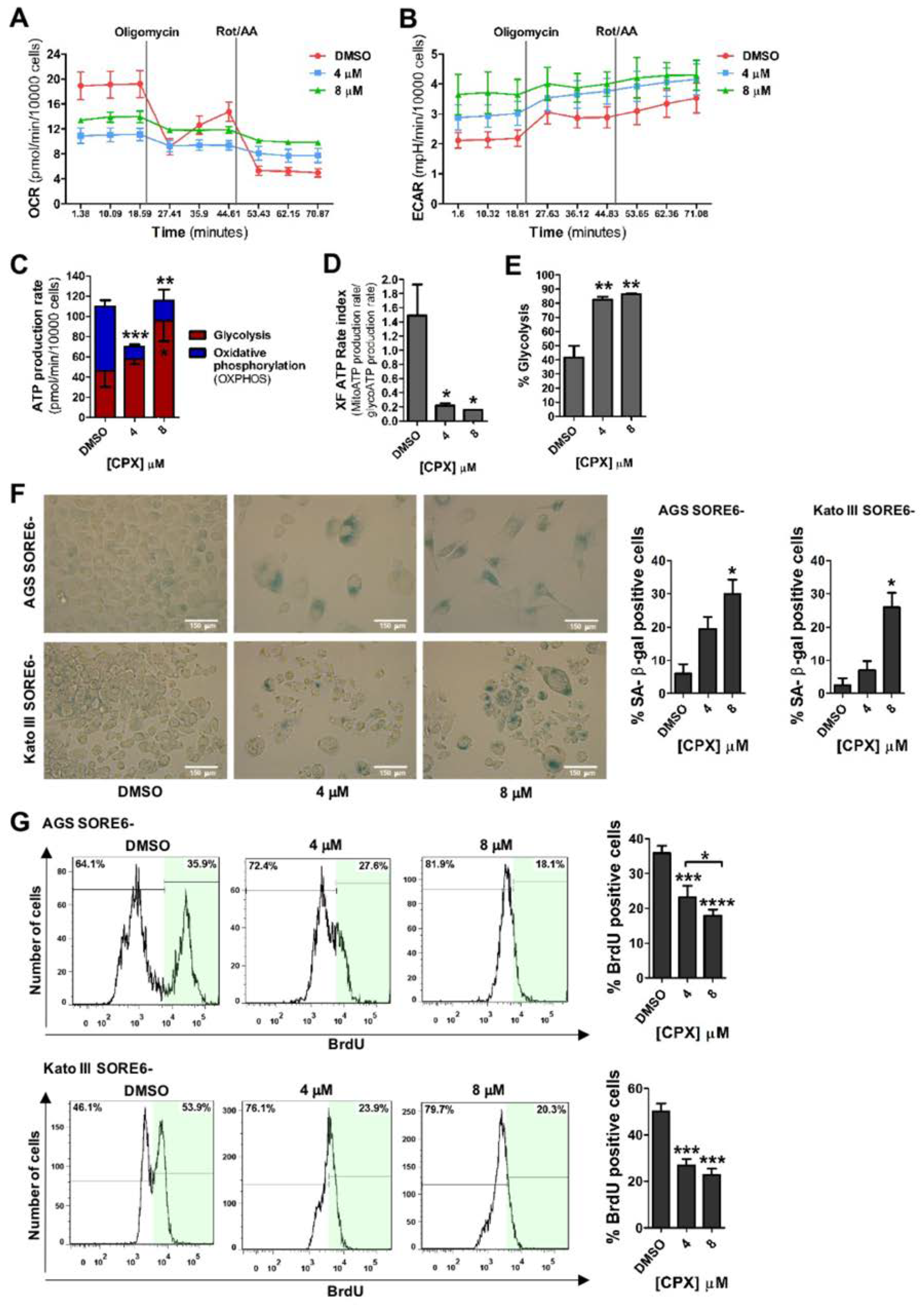 Cancers 15 04406 g003