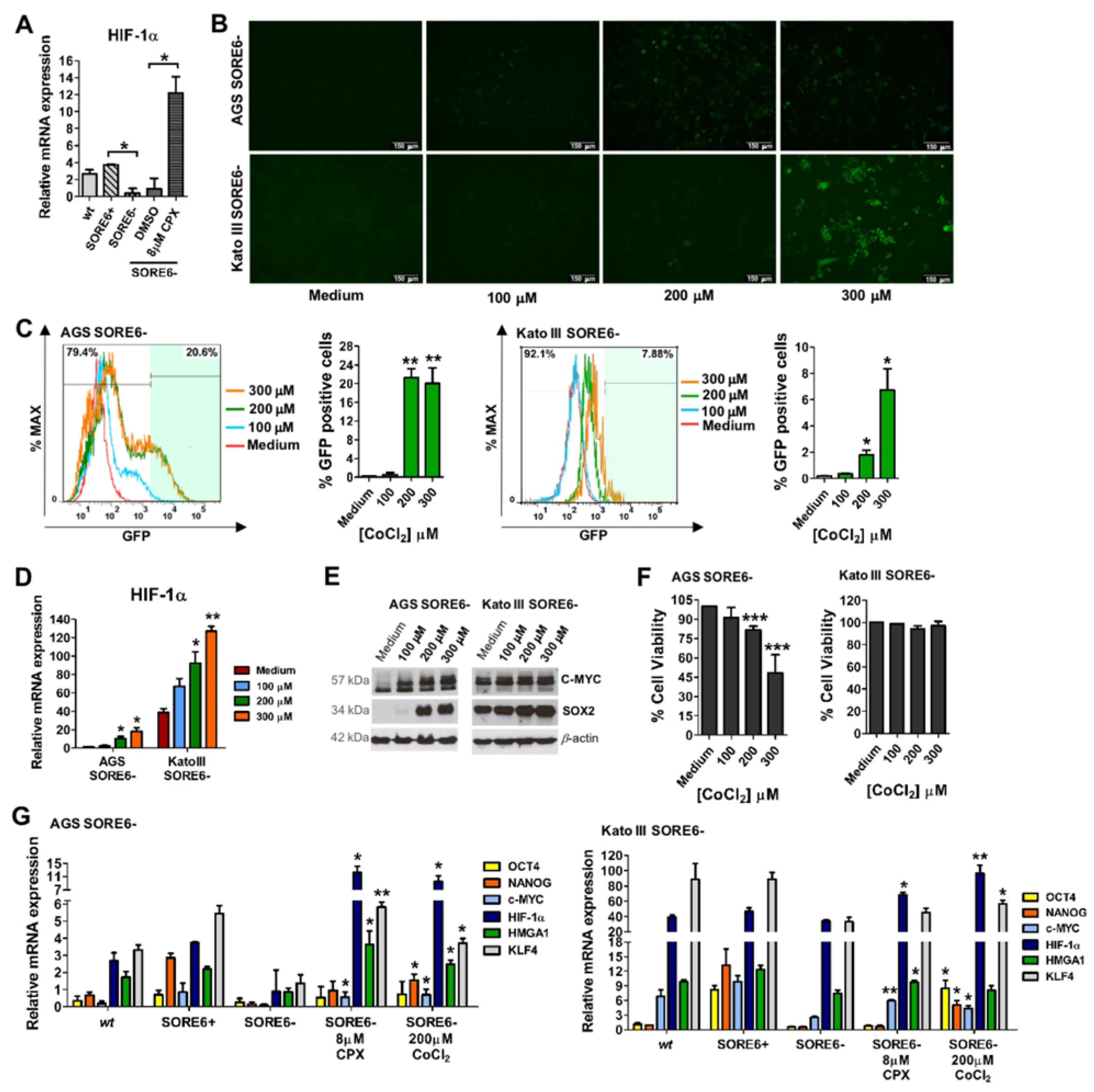 Cancers 15 04406 g005