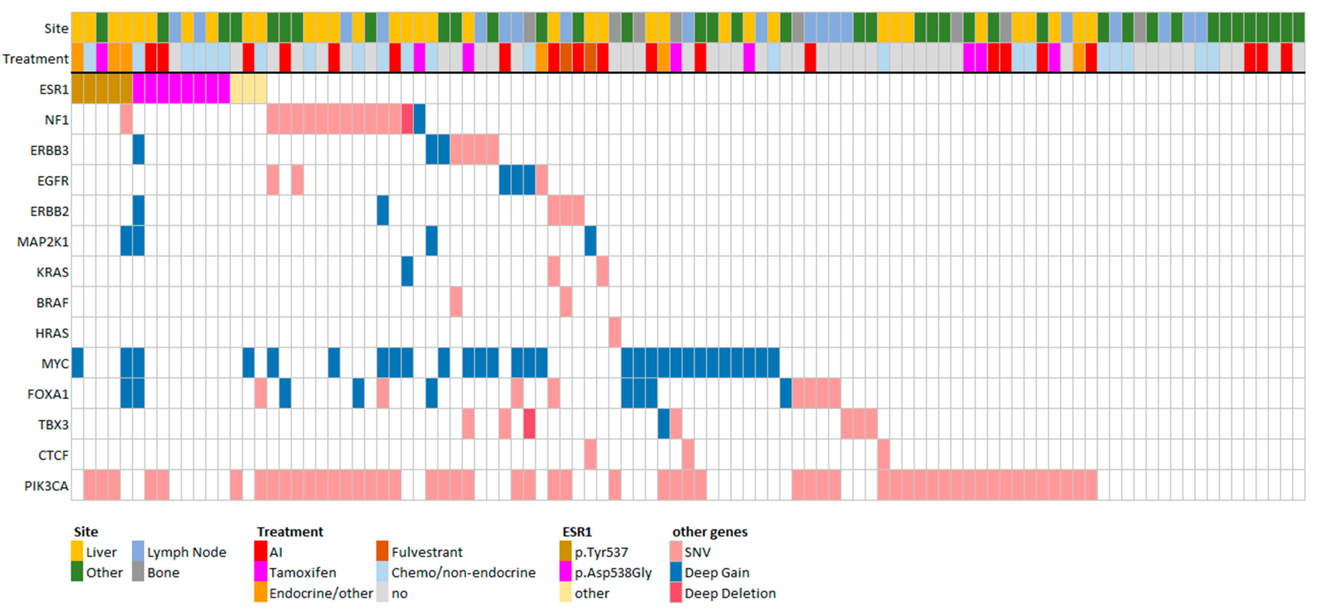 Cancers 15 04416 g001