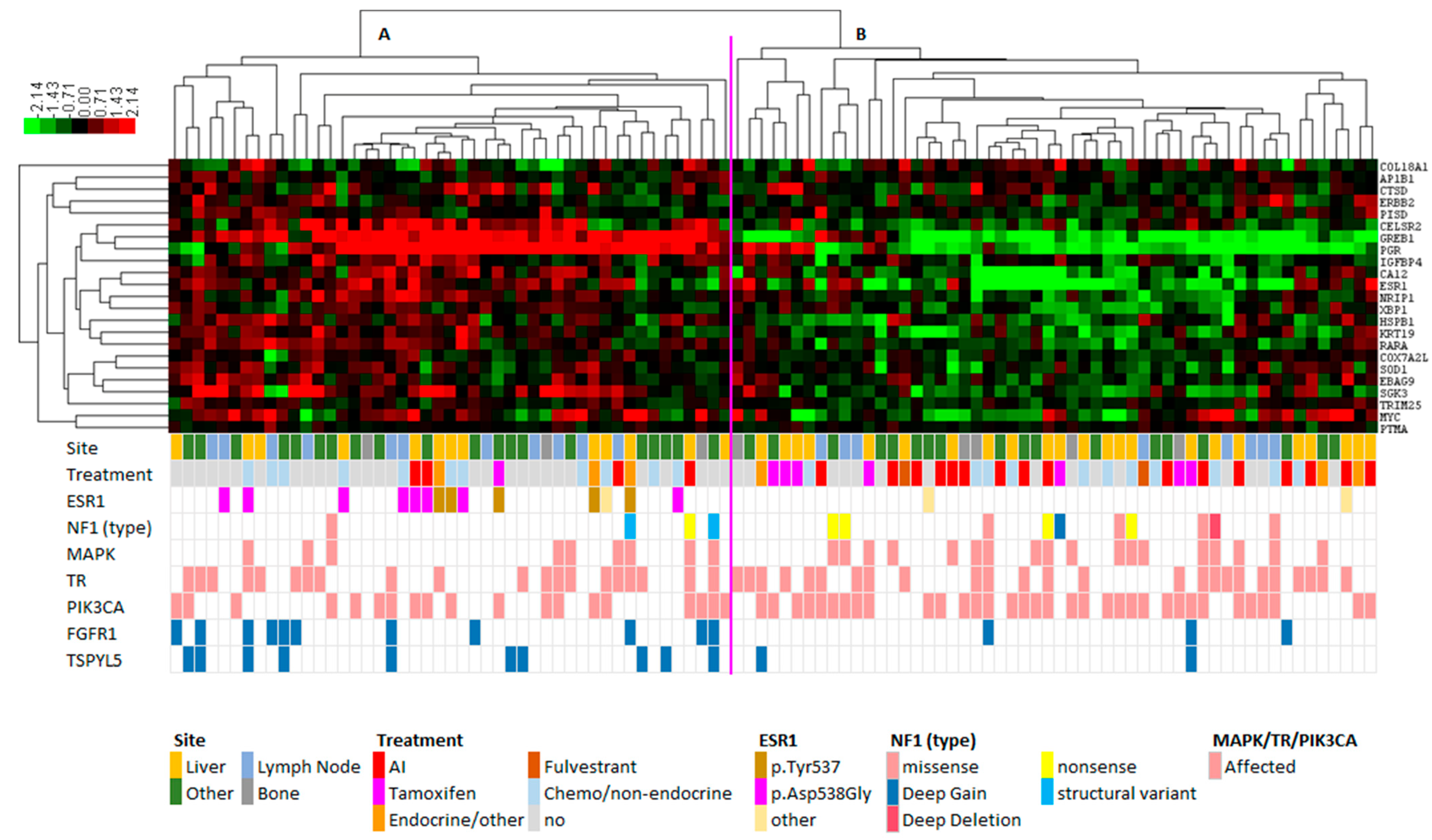 Cancers 15 04416 g002