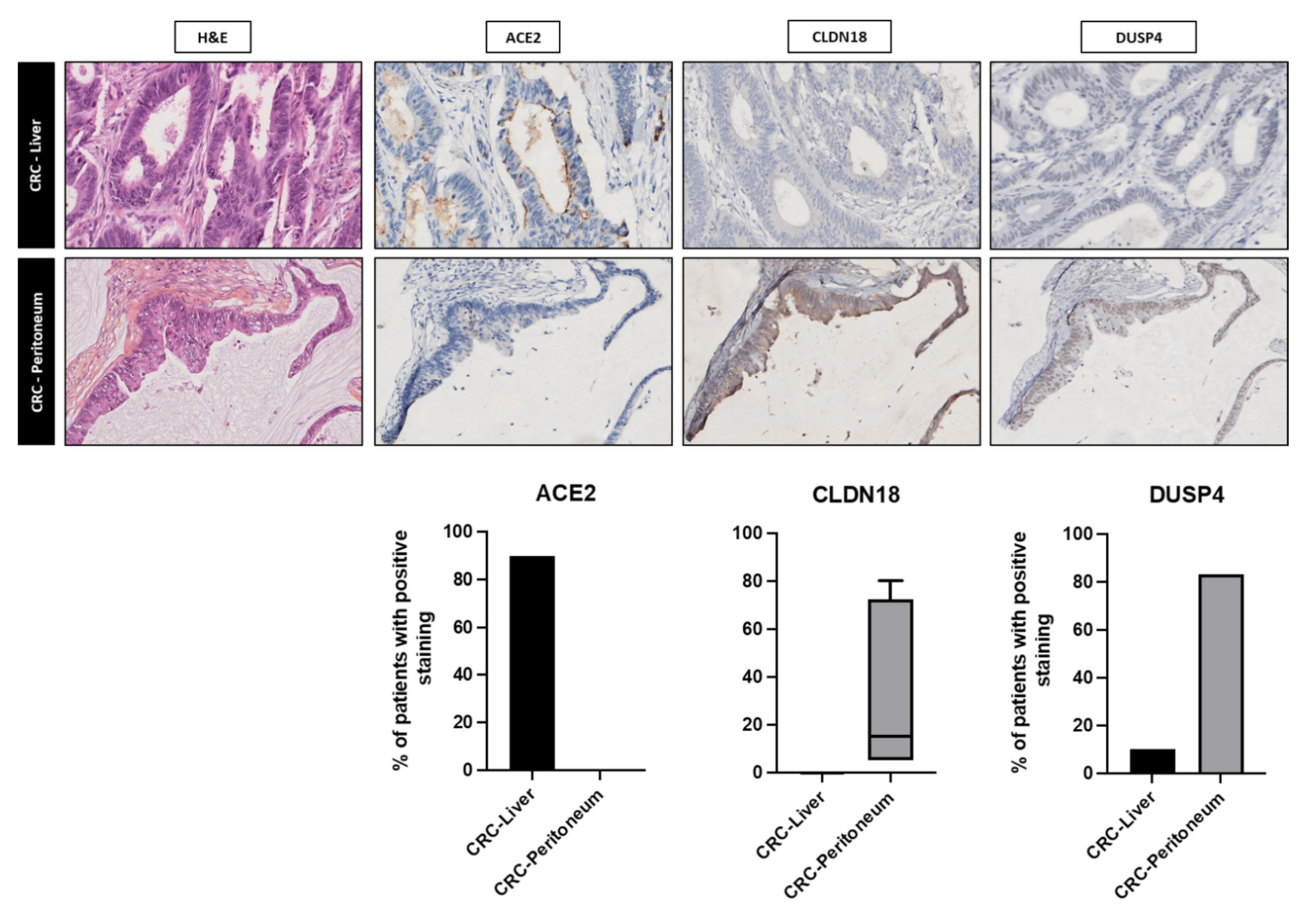 Cancers 15 04418 g003 Cancers 15 04418 g003