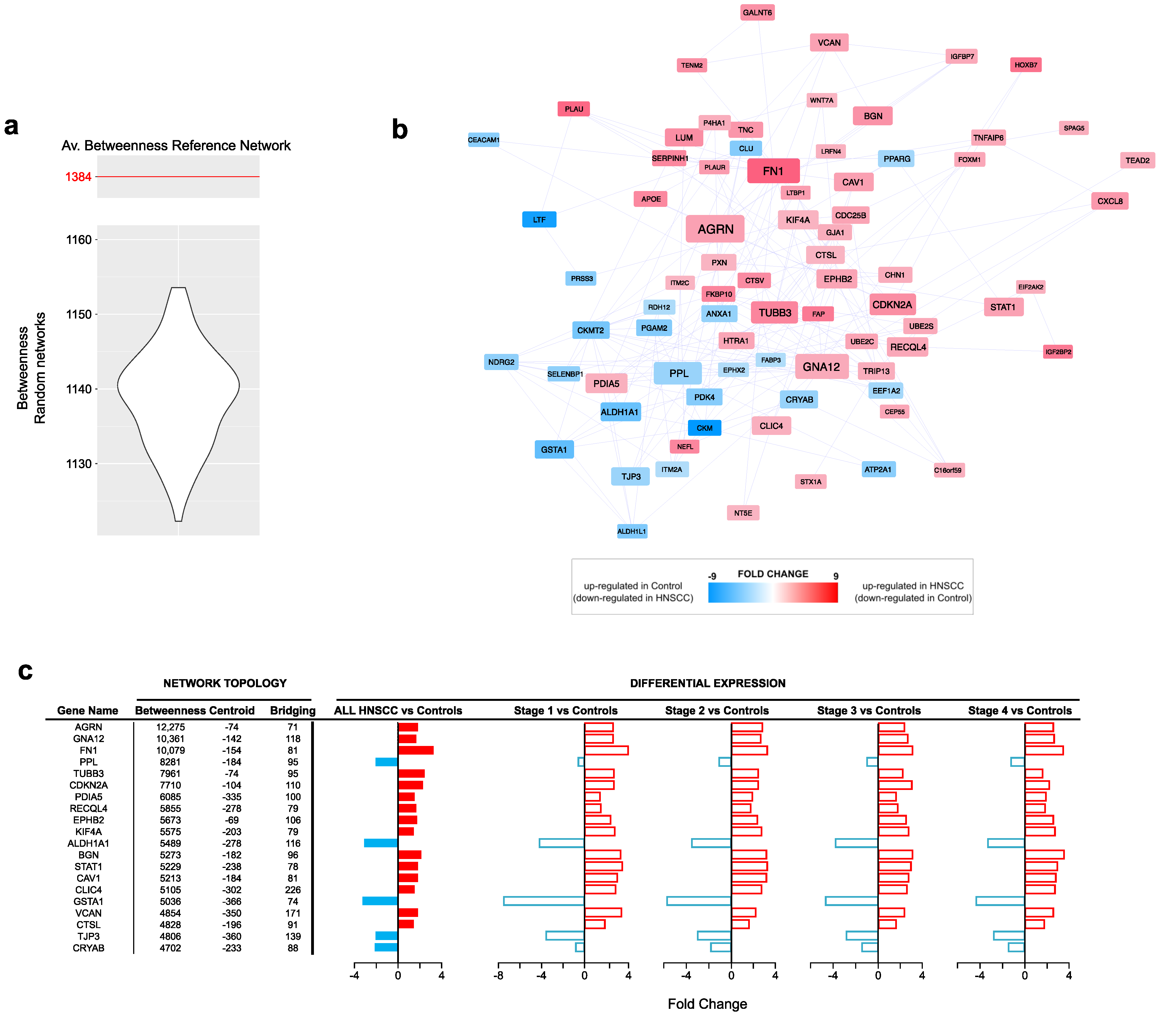 Cancers 15 04420 g002 Cancers 15 04420 g002