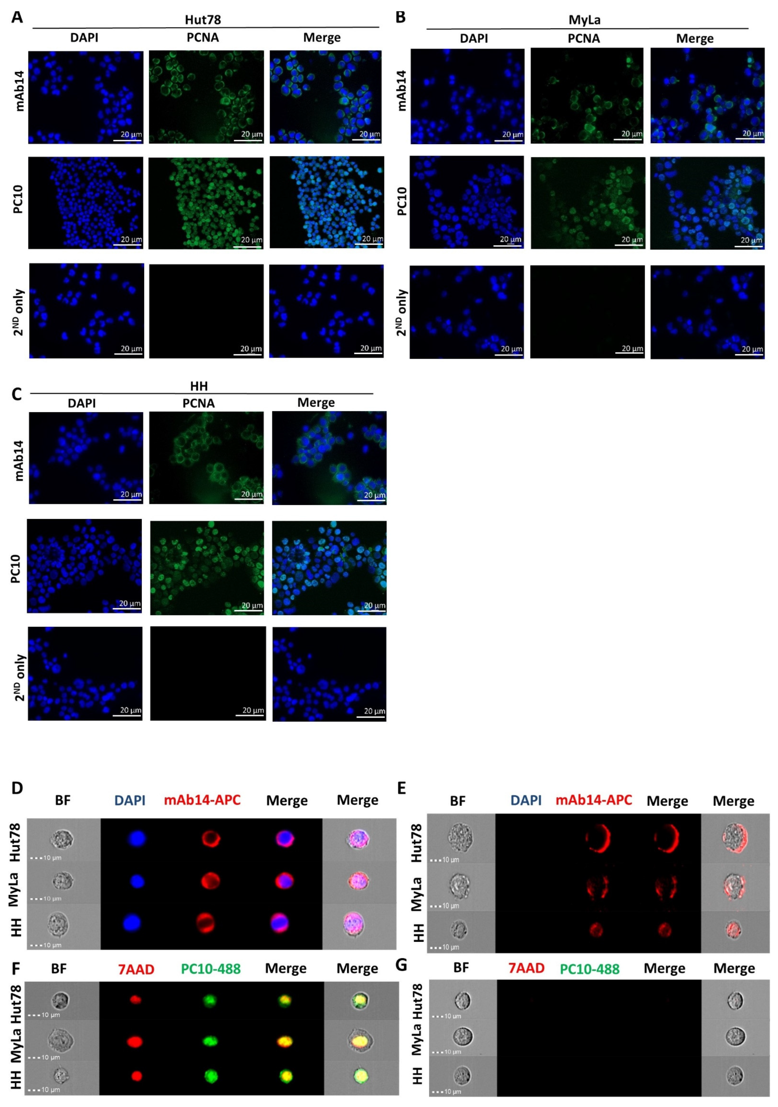Cancers 15 04421 g001 Cancers 15 04421 g001