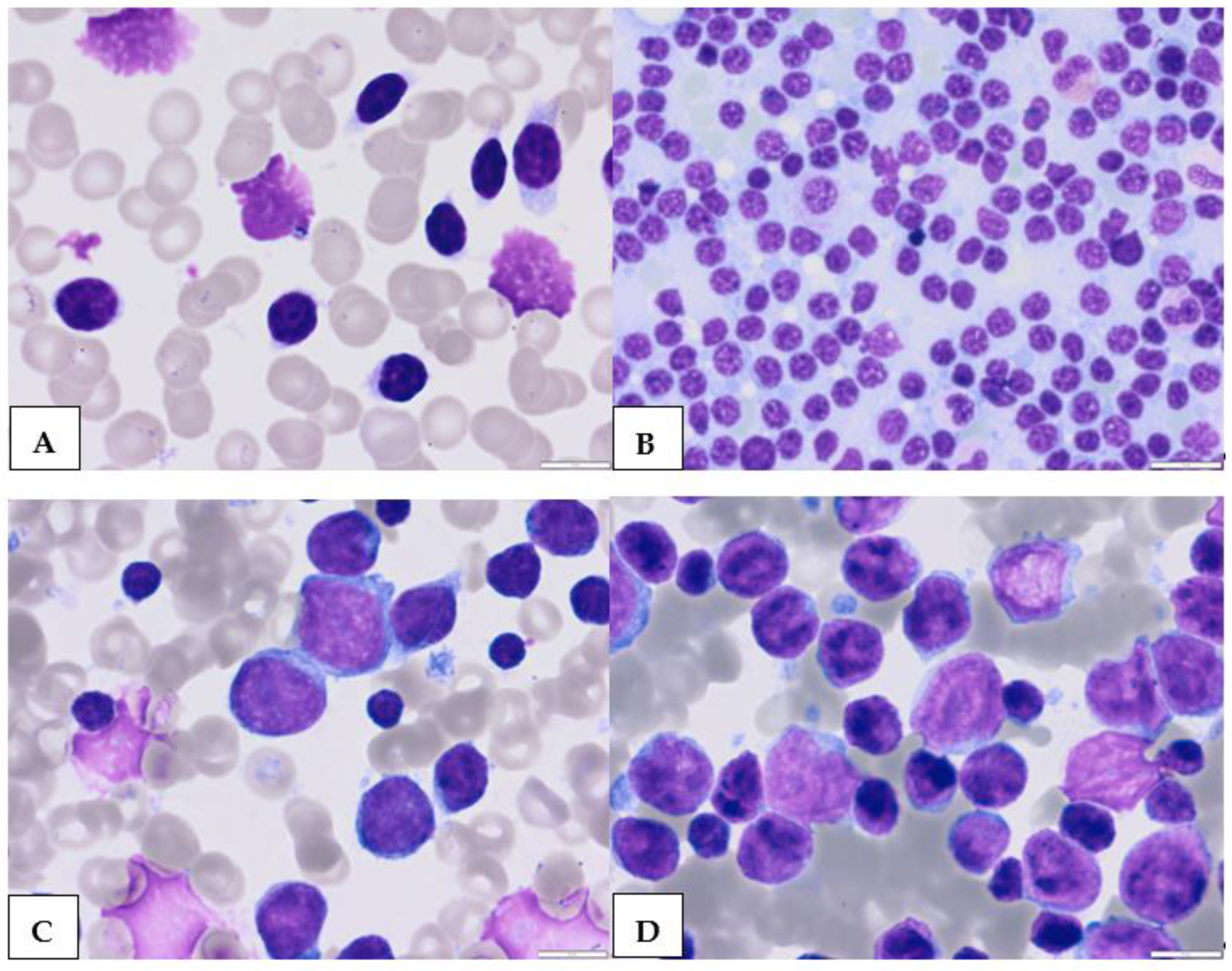 Cancers 15 04427 g001