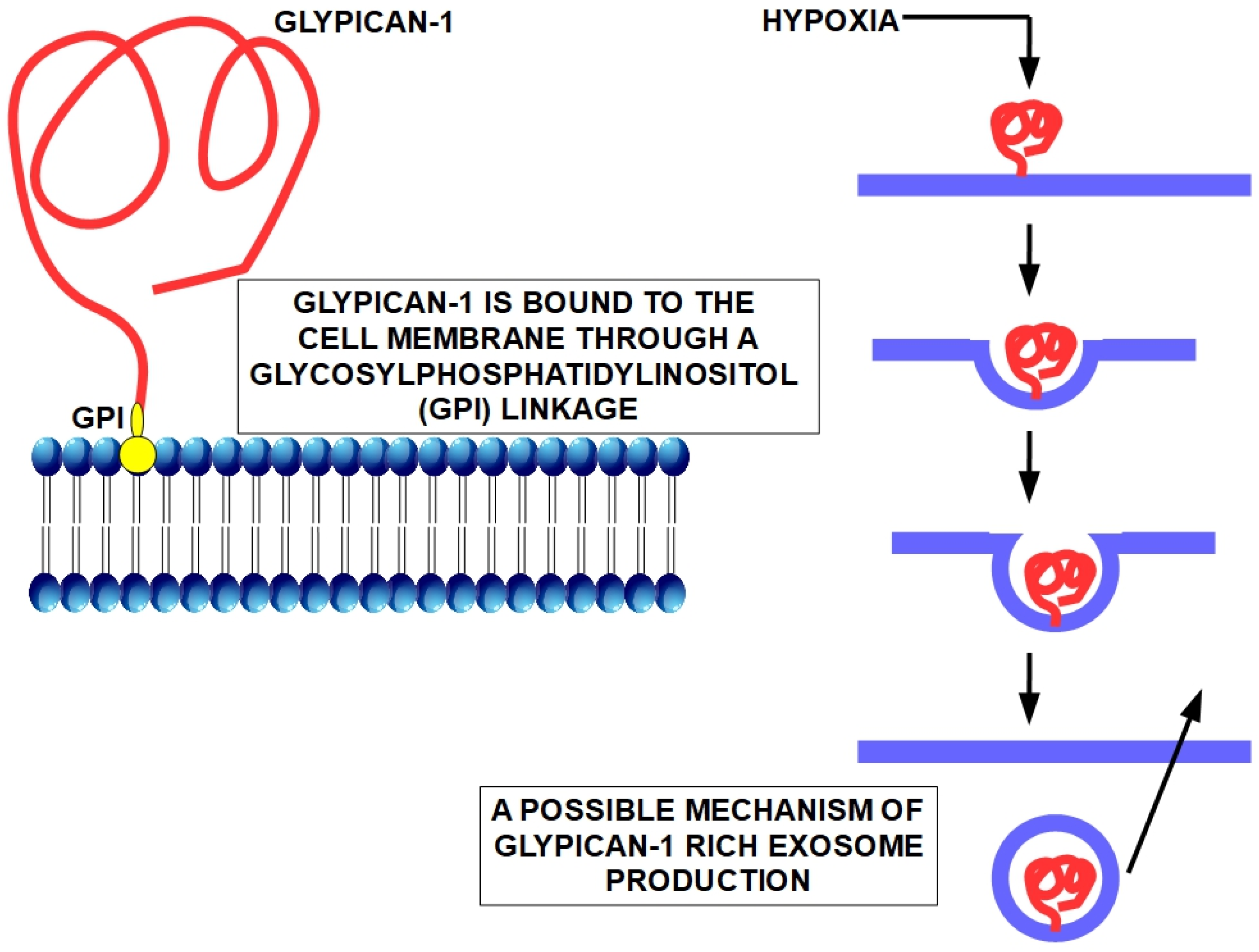 Cancers 15 04430 g002 Cancers 15 04430 g002