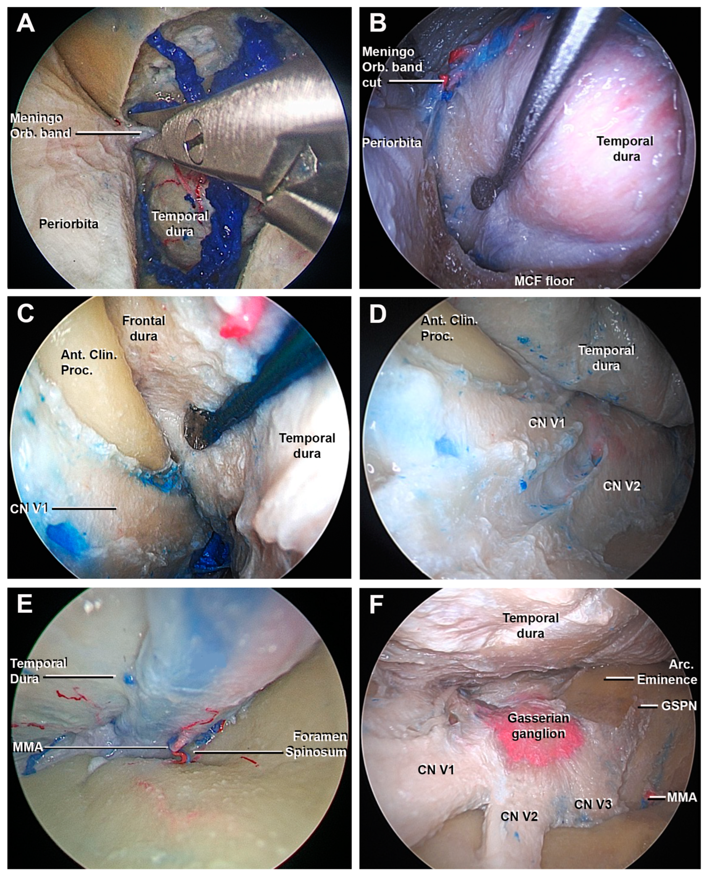 Cancers 15 04435 g005 Cancers 15 04435 g005