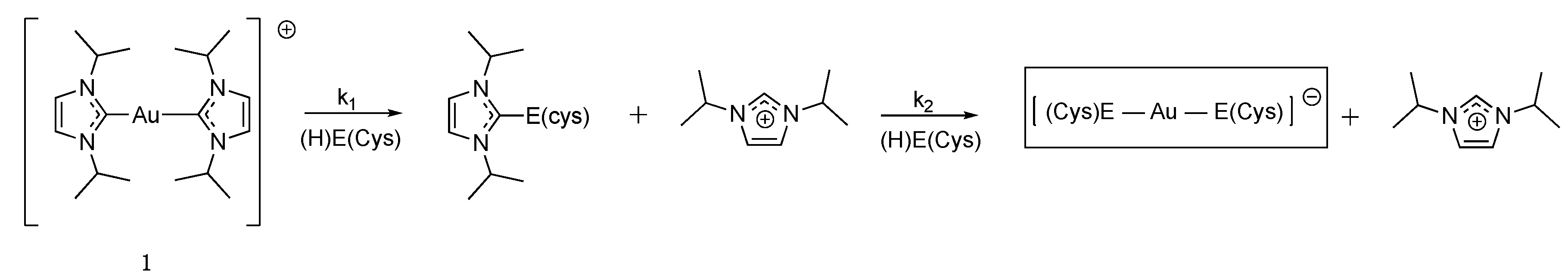 Cancers 15 04448 g006 Cancers 15 04448 g006
