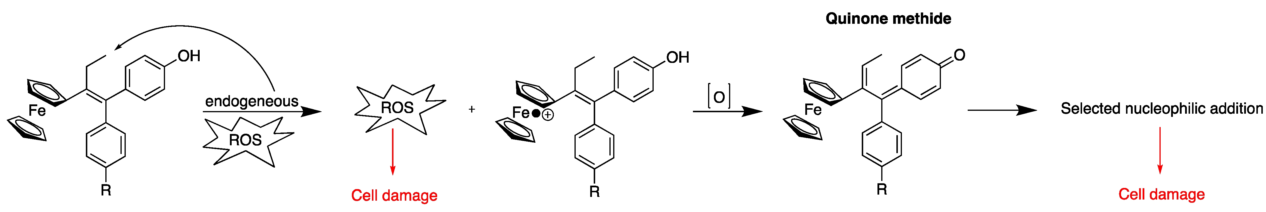 Cancers 15 04448 g007 Cancers 15 04448 g007