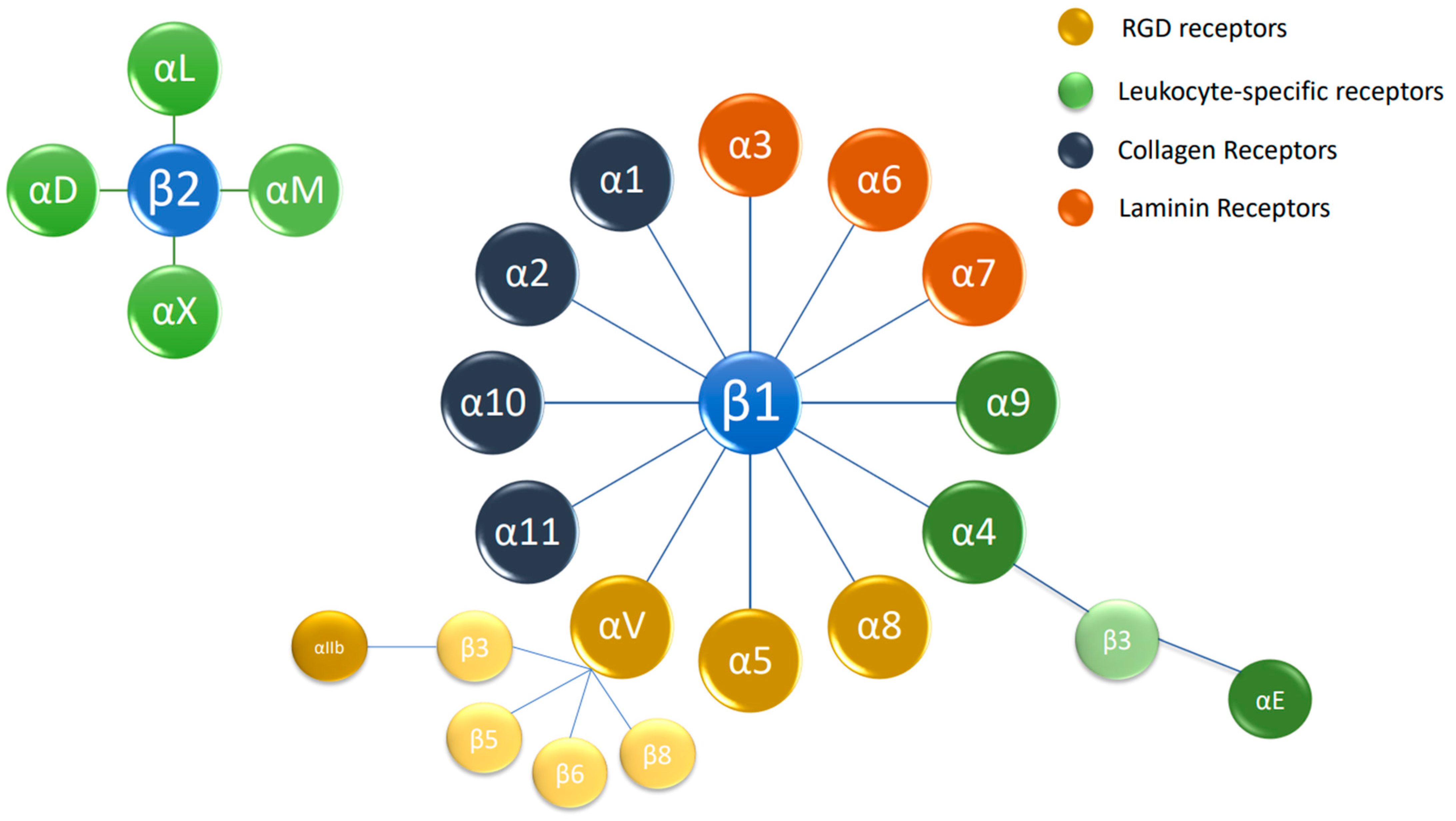 Cancers 15 04449 g001