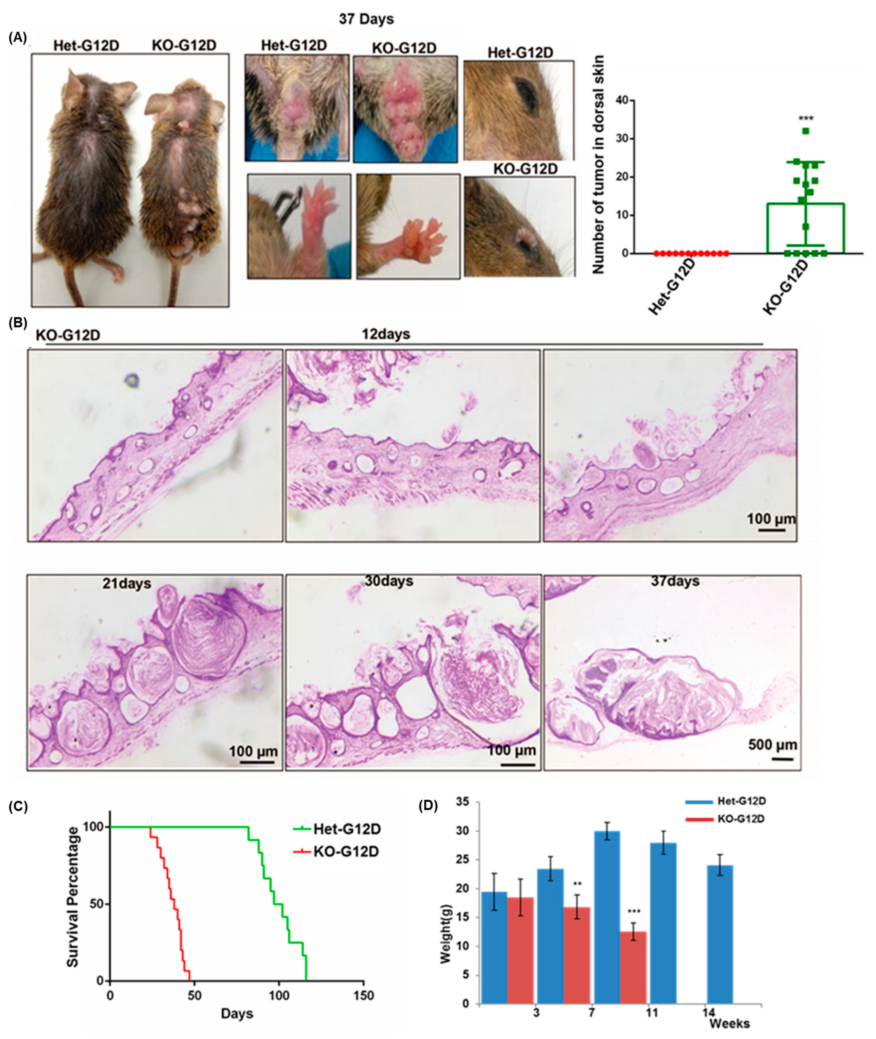 Cancers 15 04455 g001