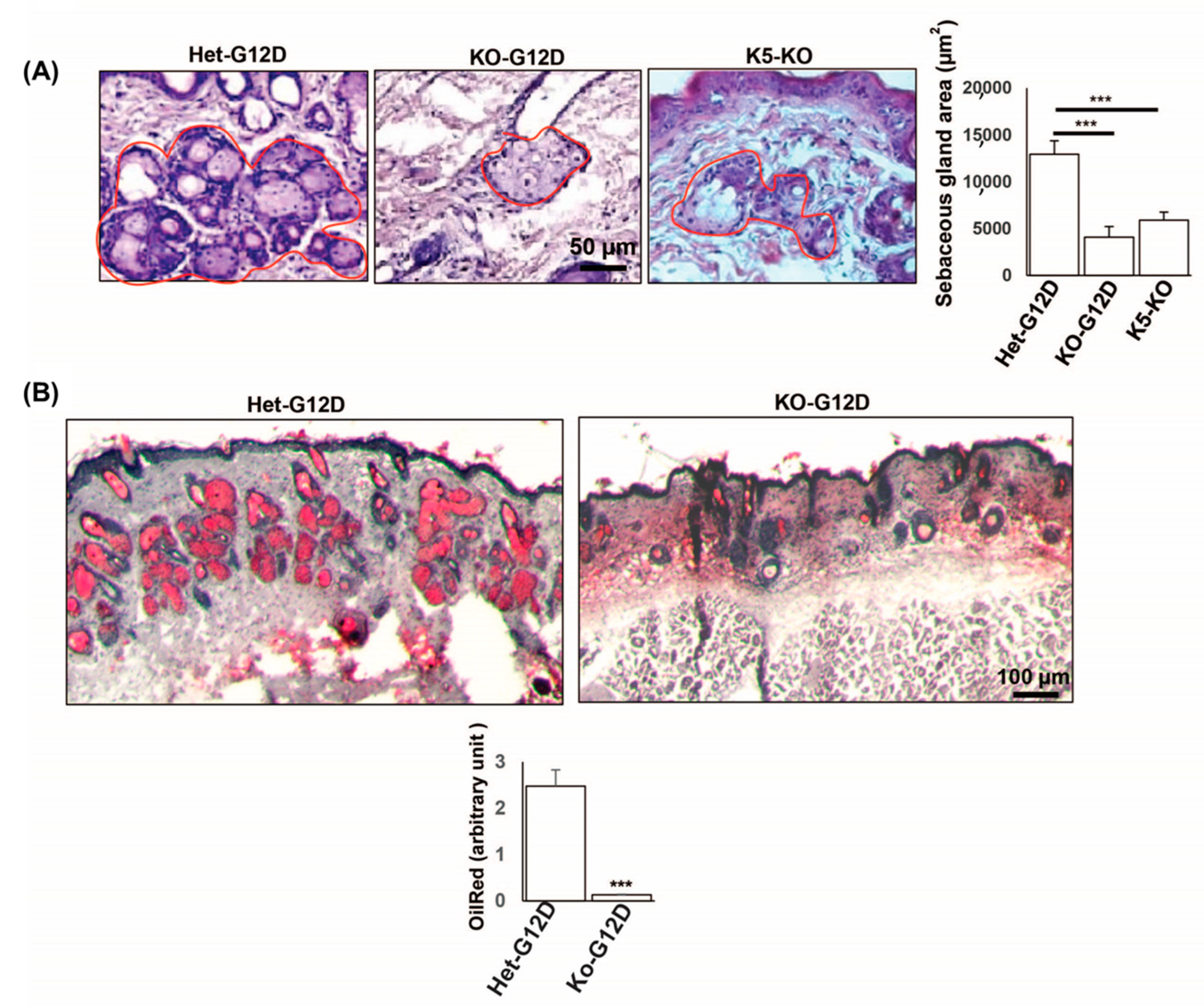 Cancers 15 04455 g002