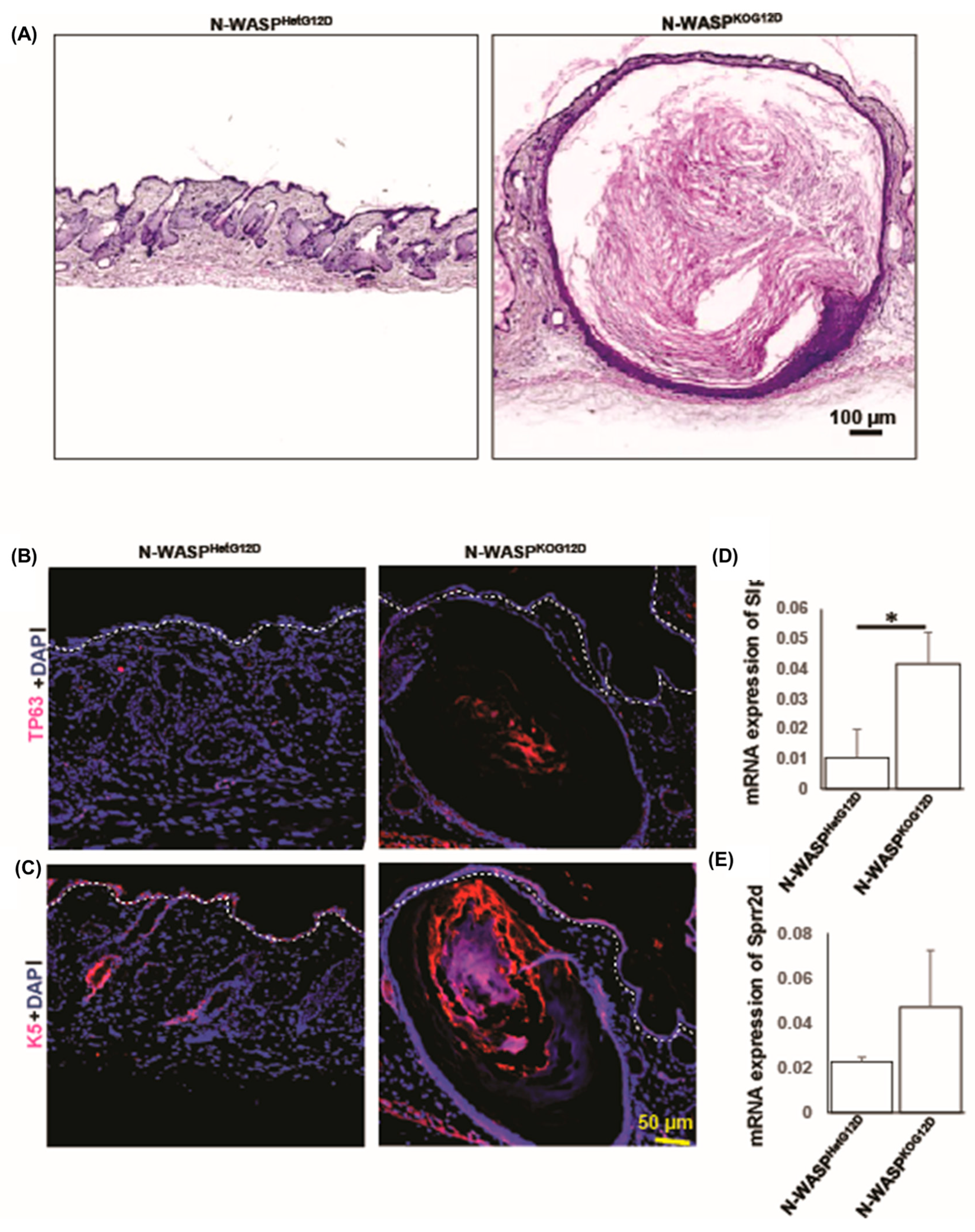 Cancers 15 04455 g003