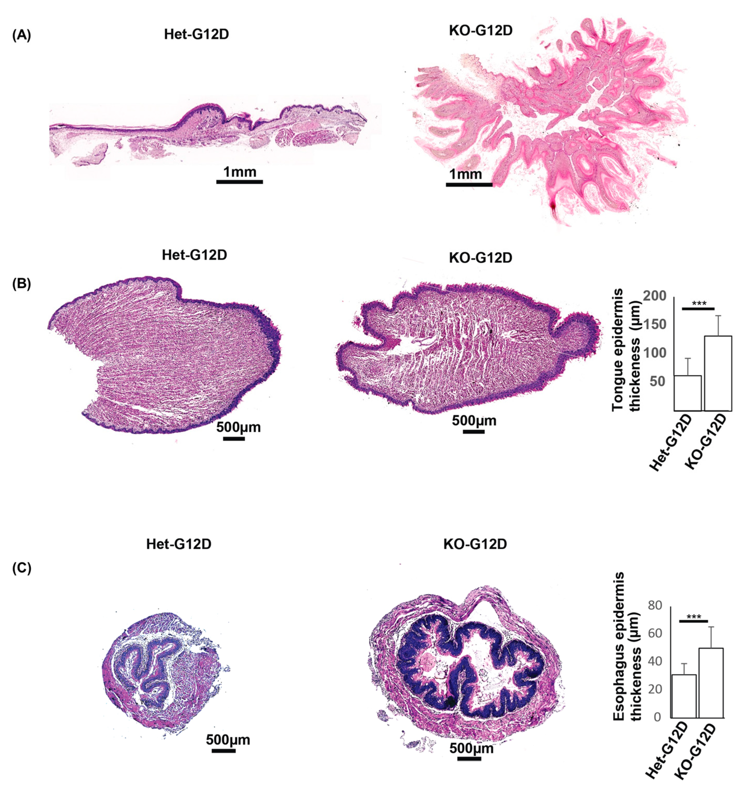 Cancers 15 04455 g005