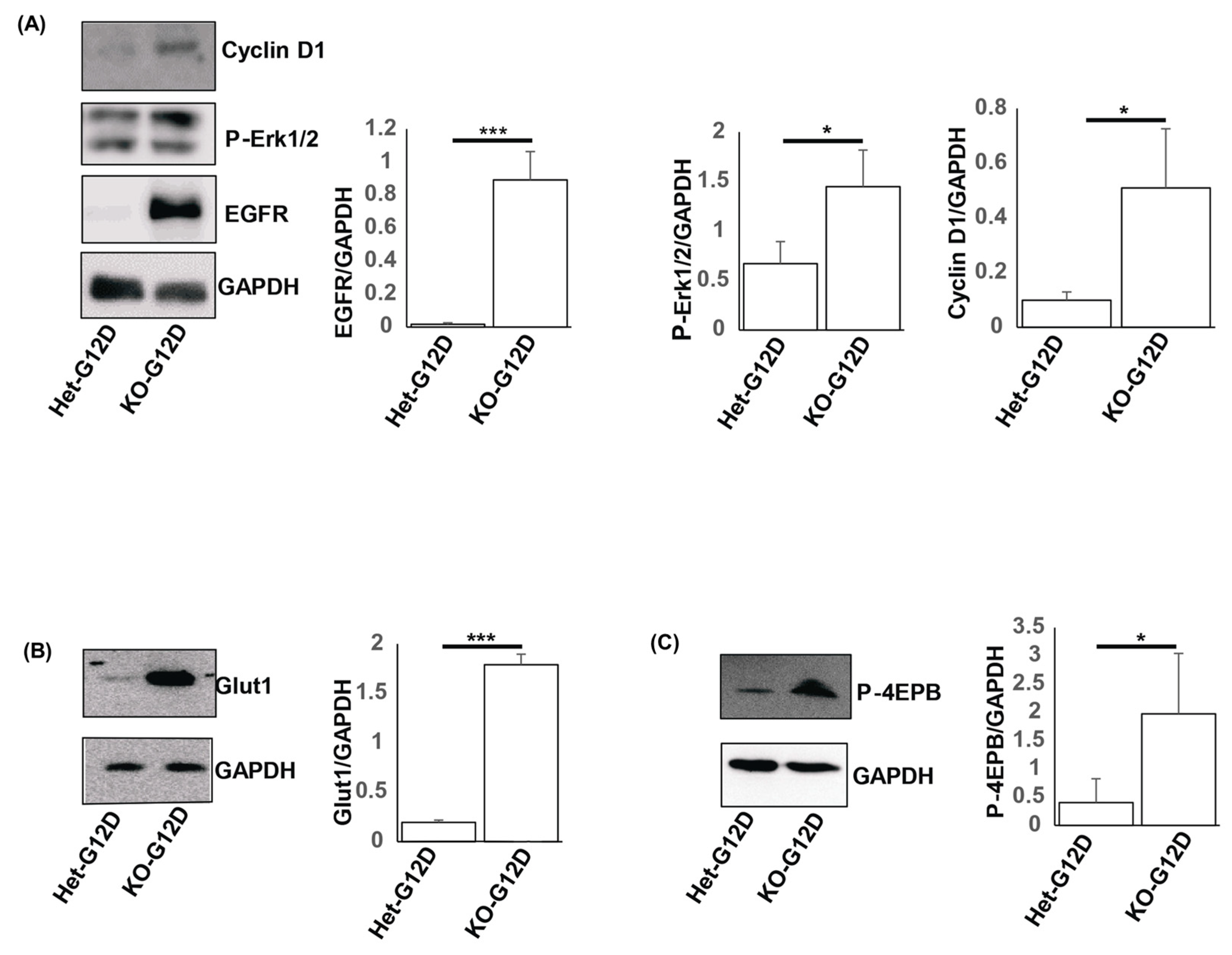 Cancers 15 04455 g006