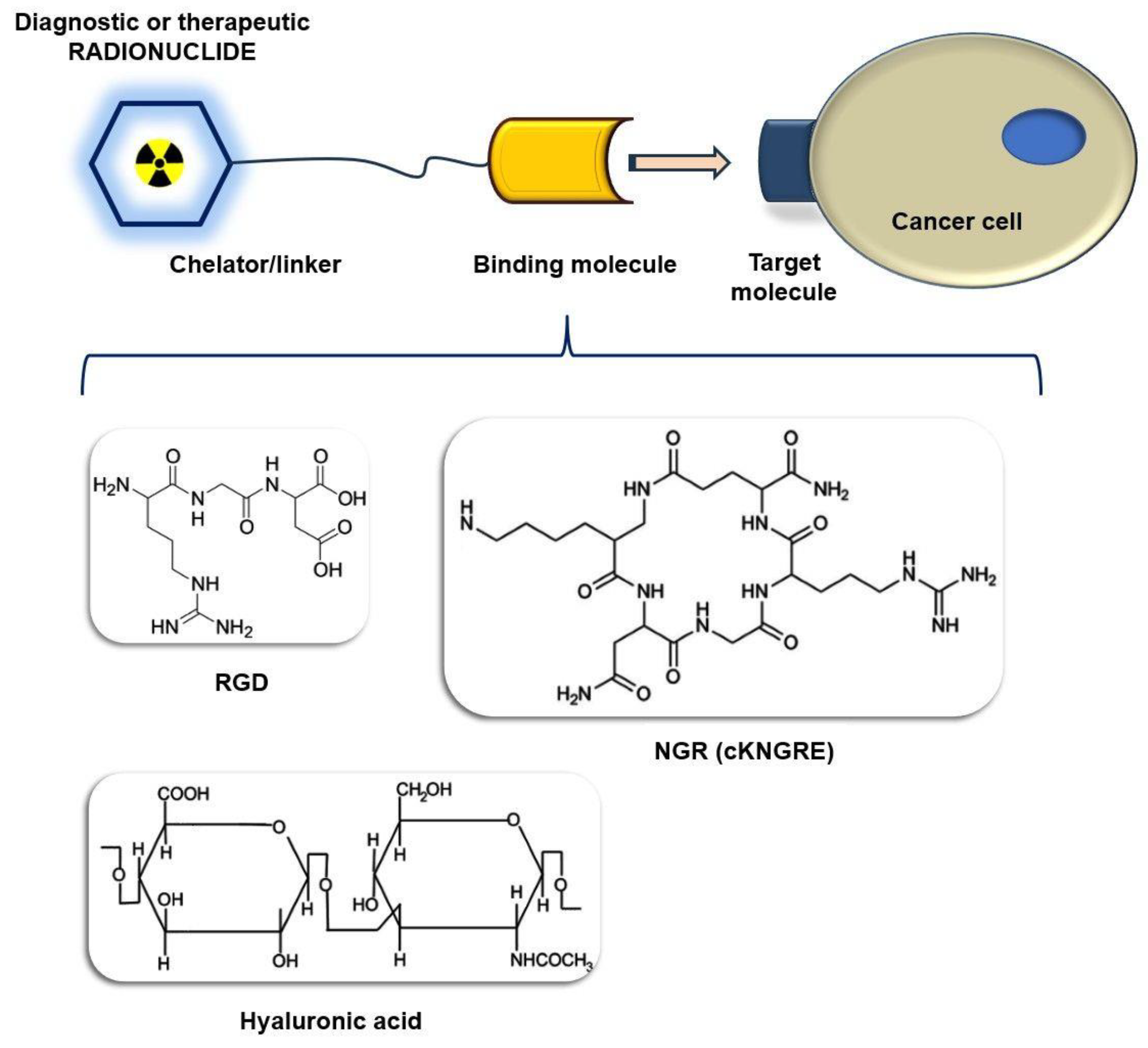 Cancers 15 04459 g001