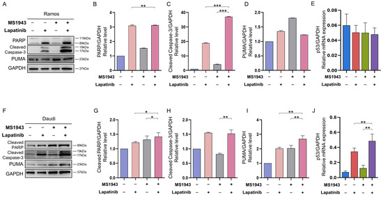Dual Targeting of EZH2 Degradation and EGFR/HER2 Inhibition for ...