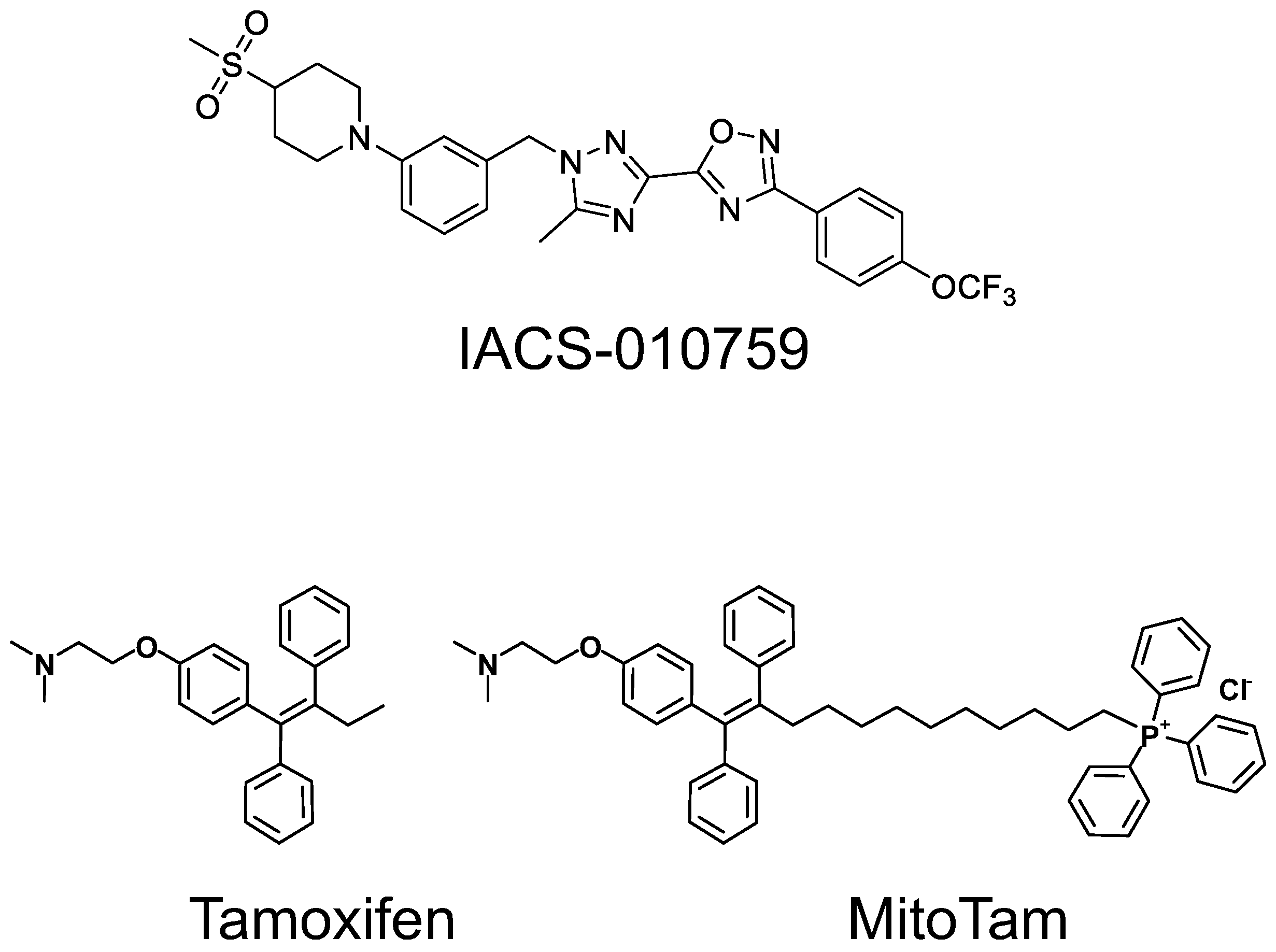 Cancers 15 04476 g001