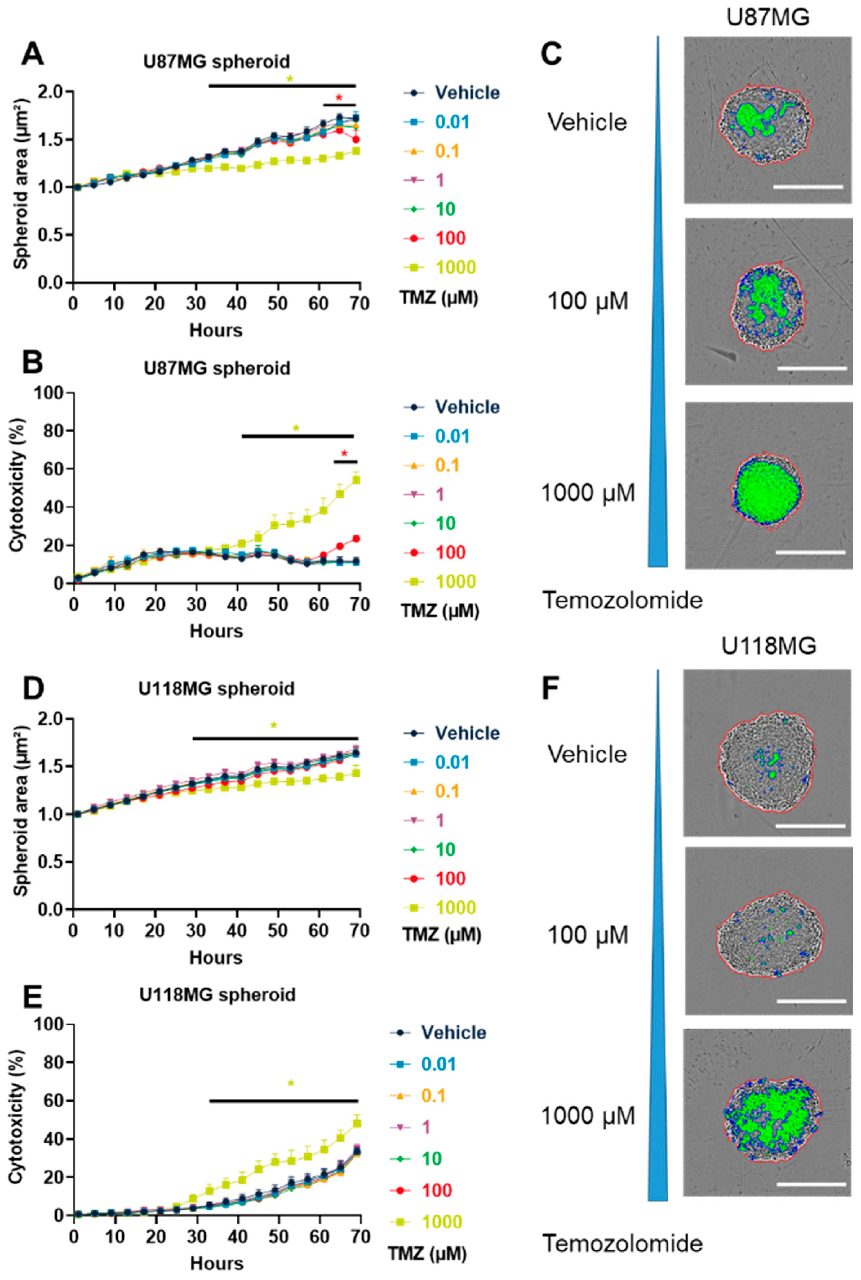 Cancers 15 04478 g001