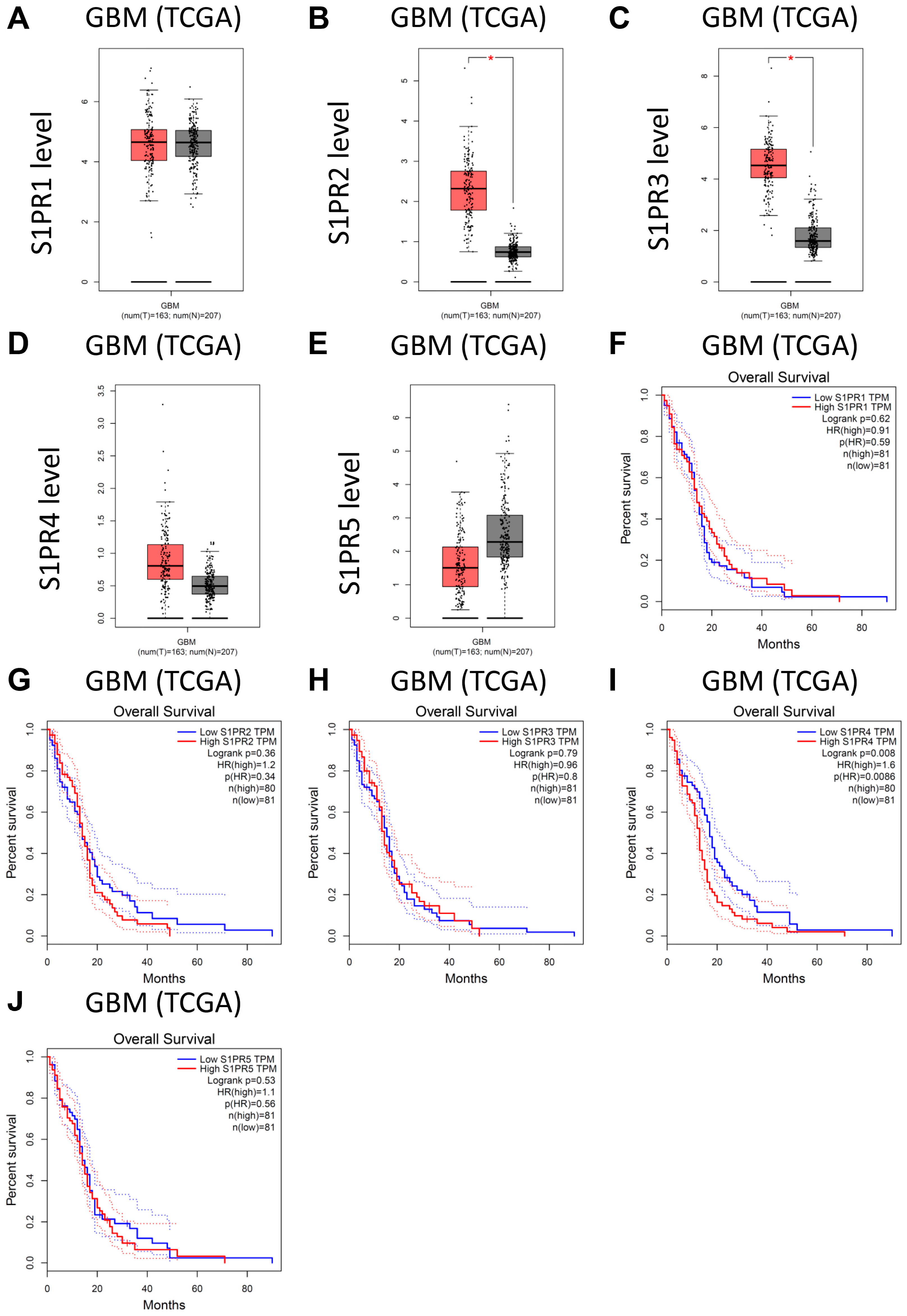 Cancers 15 04478 g005