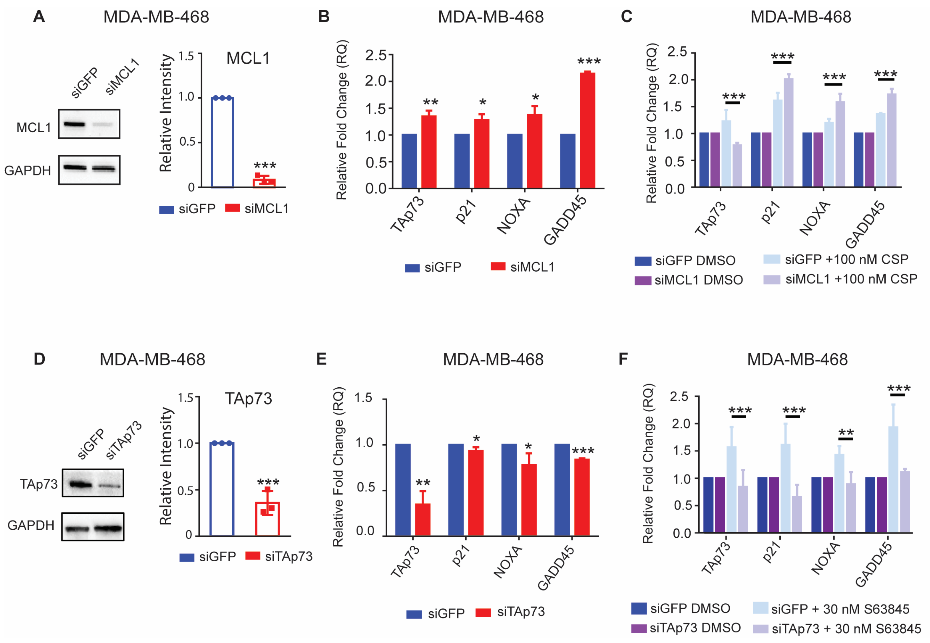 Cancers 15 04481 g007