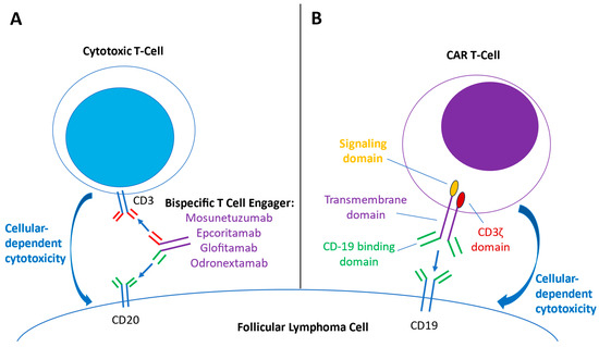 Targeted Therapy in Follicular Lymphoma: Towards a Chemotherapy