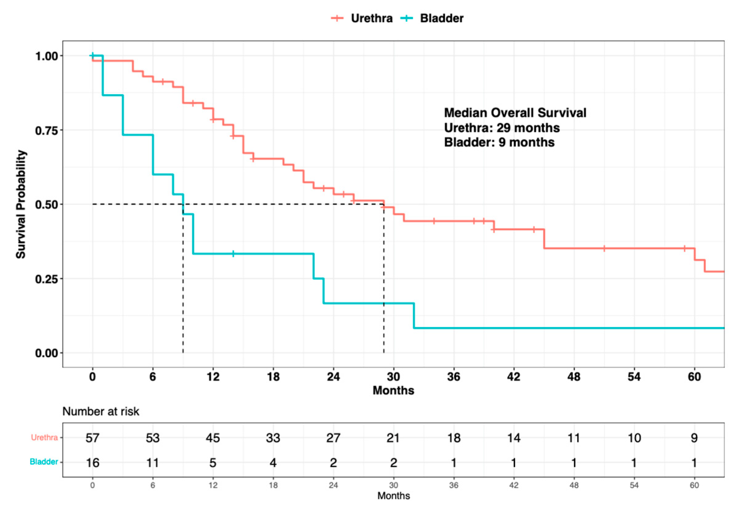 Cancers 15 04498 g005