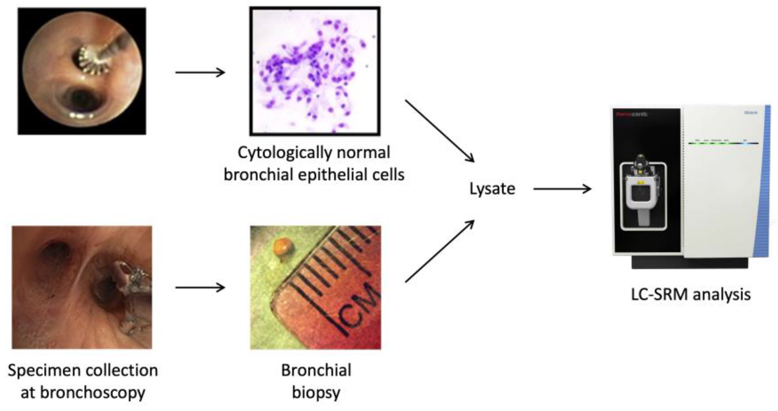 Cancers 15 04504 g001
