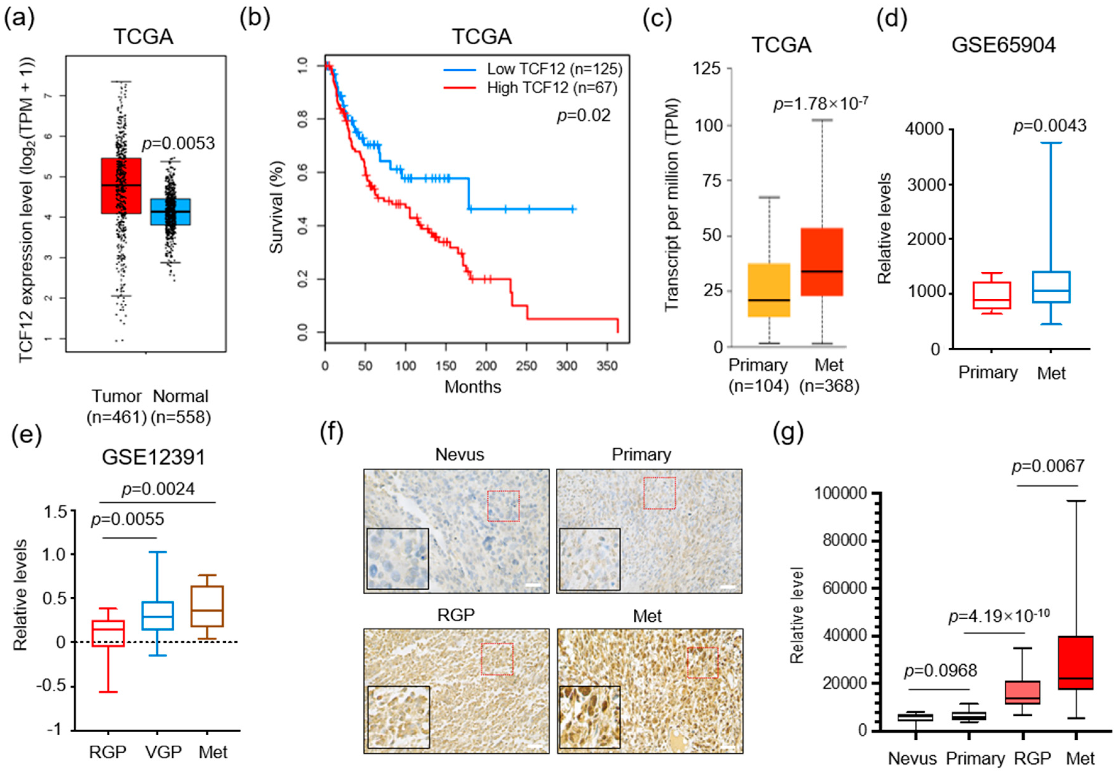 Cancers 15 04505 g001