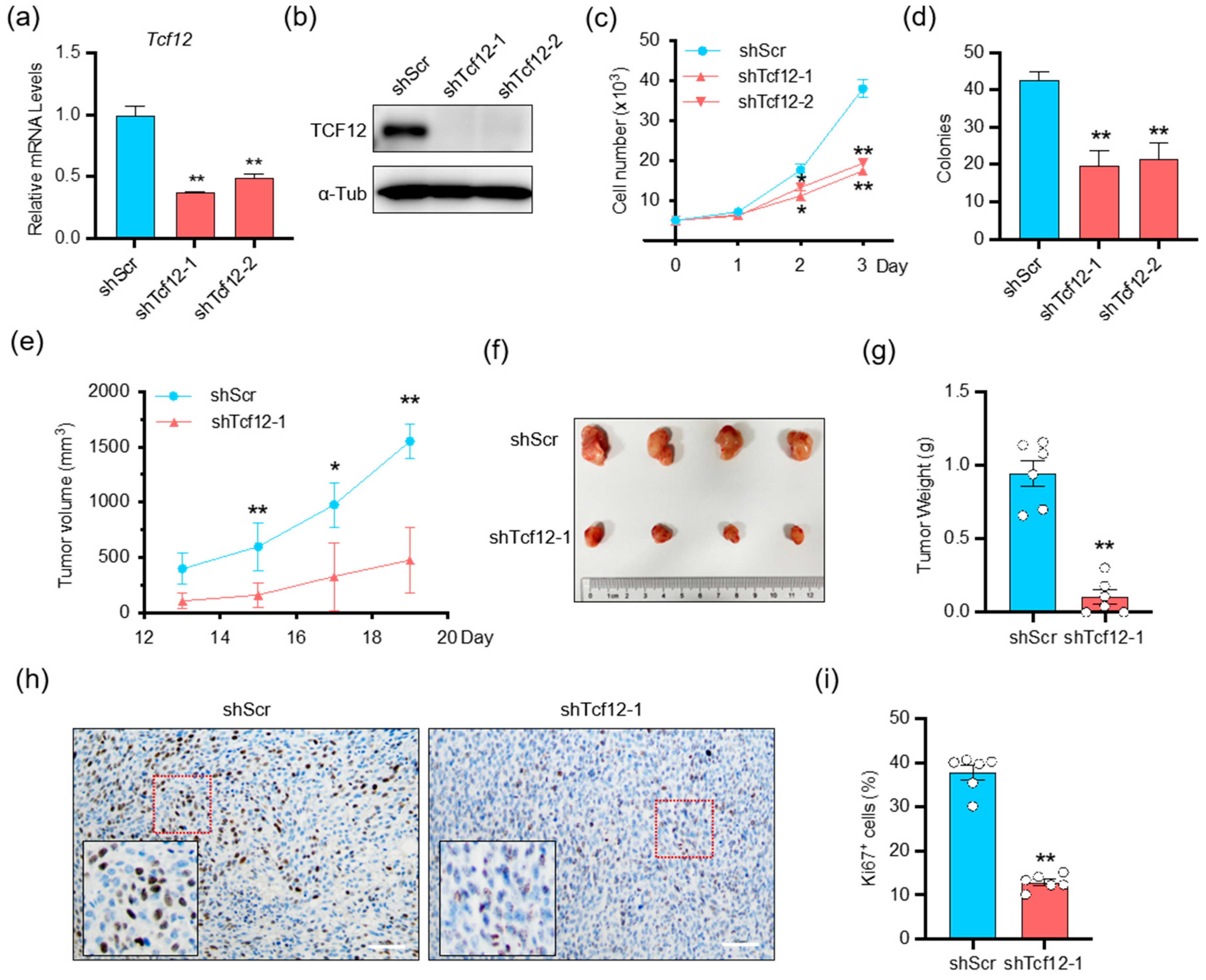 Cancers 15 04505 g002