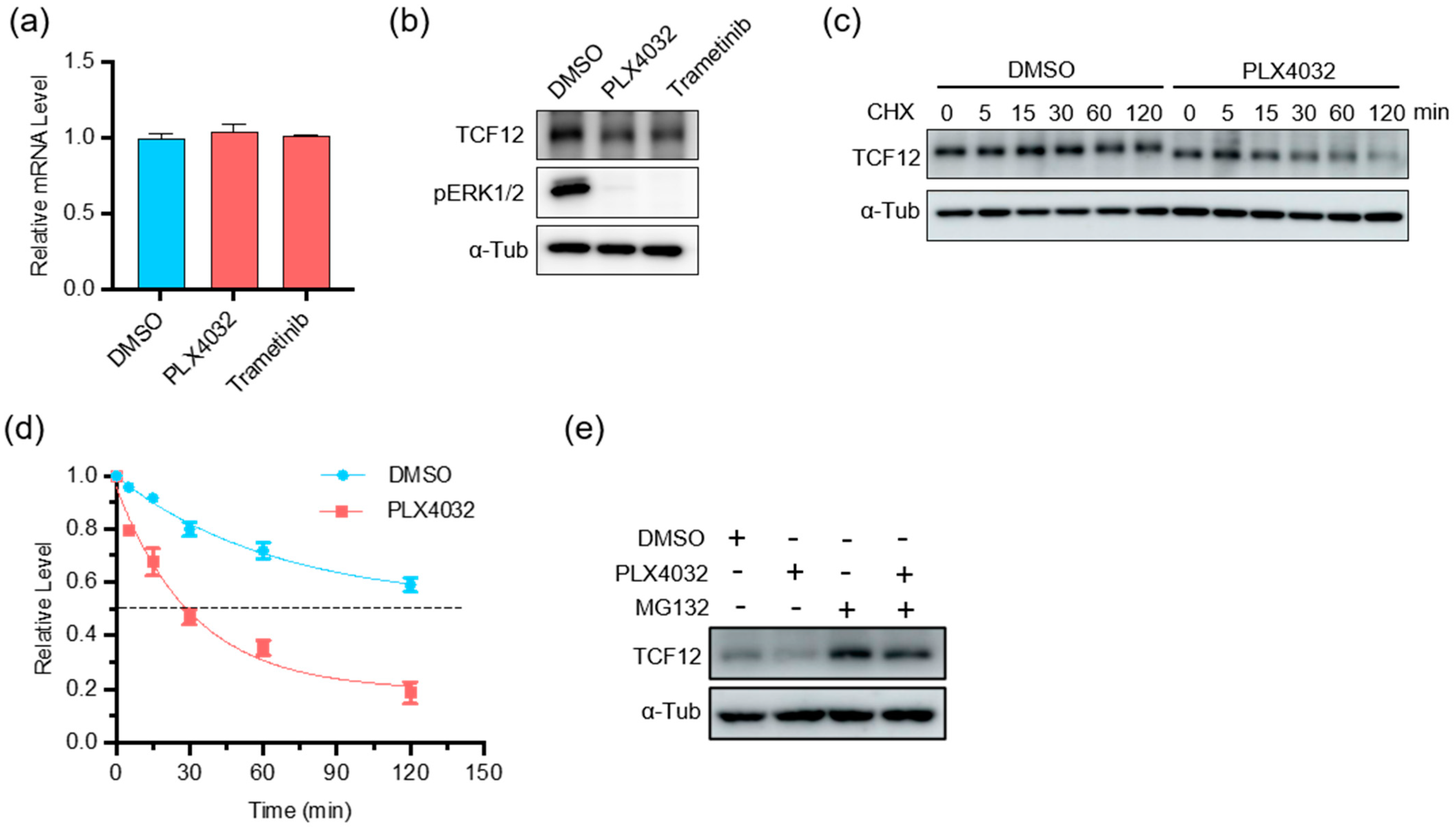 Cancers 15 04505 g007