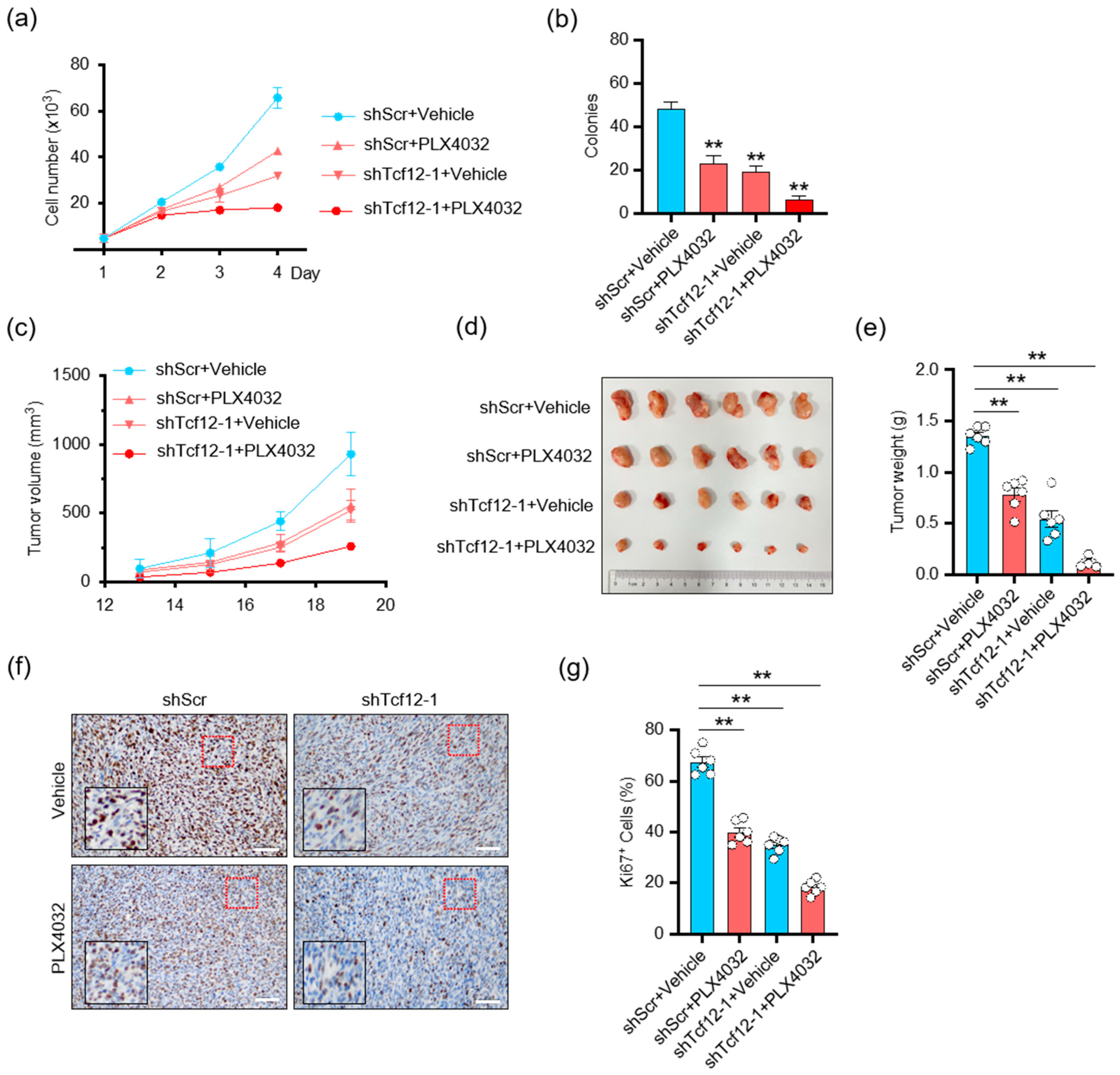 Cancers 15 04505 g008