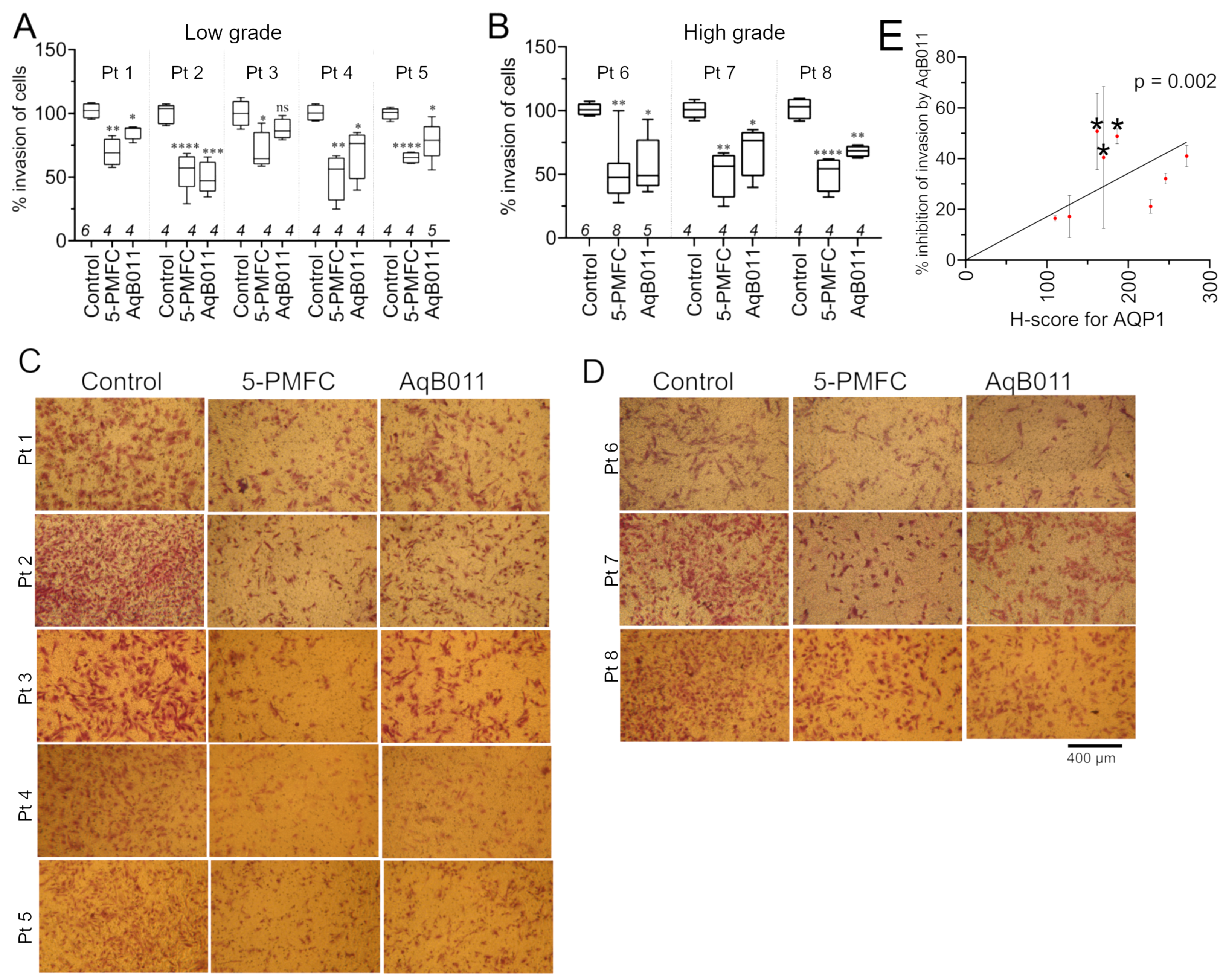 Cancers 15 04507 g005 Cancers 15 04507 g005