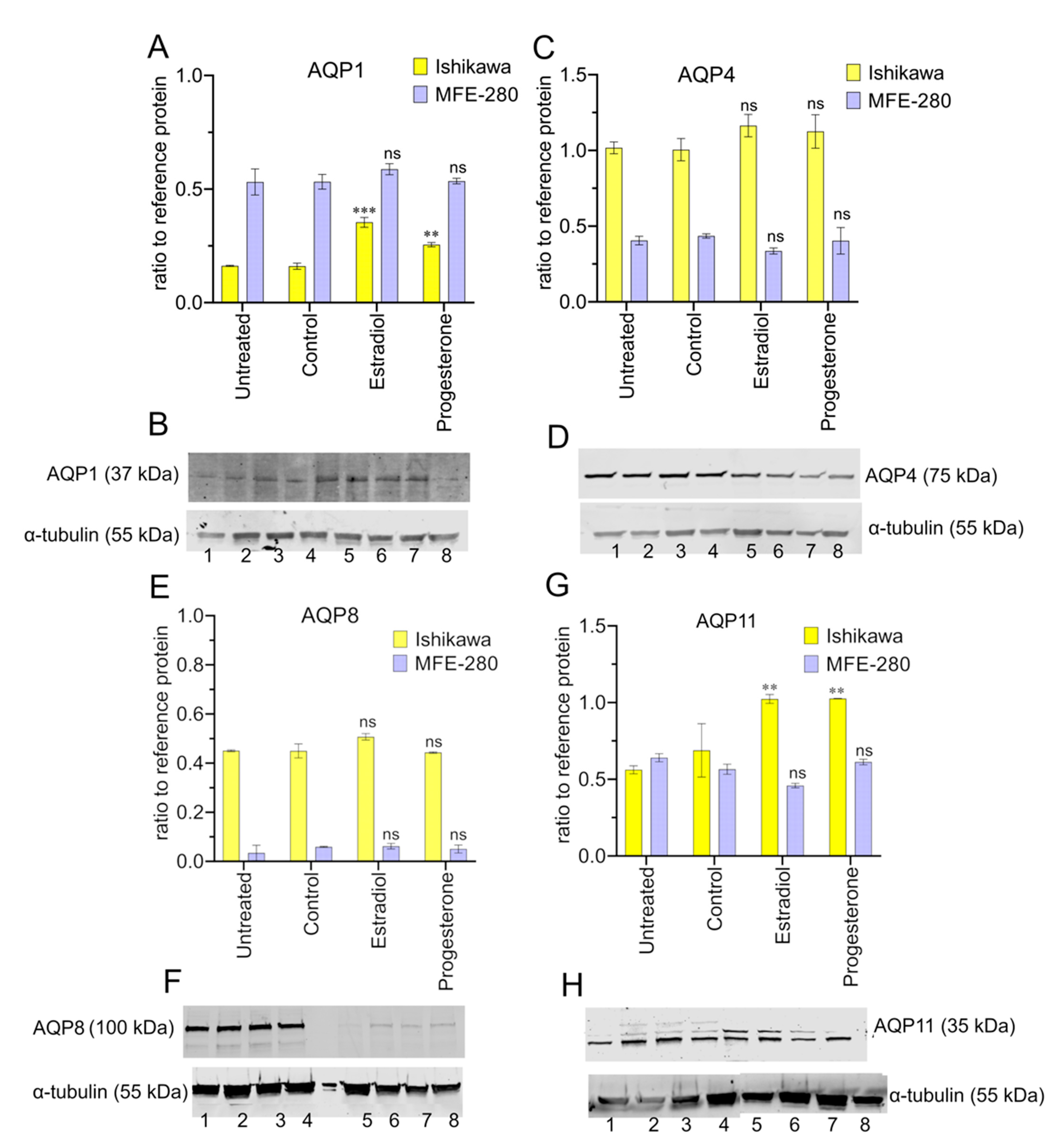 Cancers 15 04507 g008 Cancers 15 04507 g008