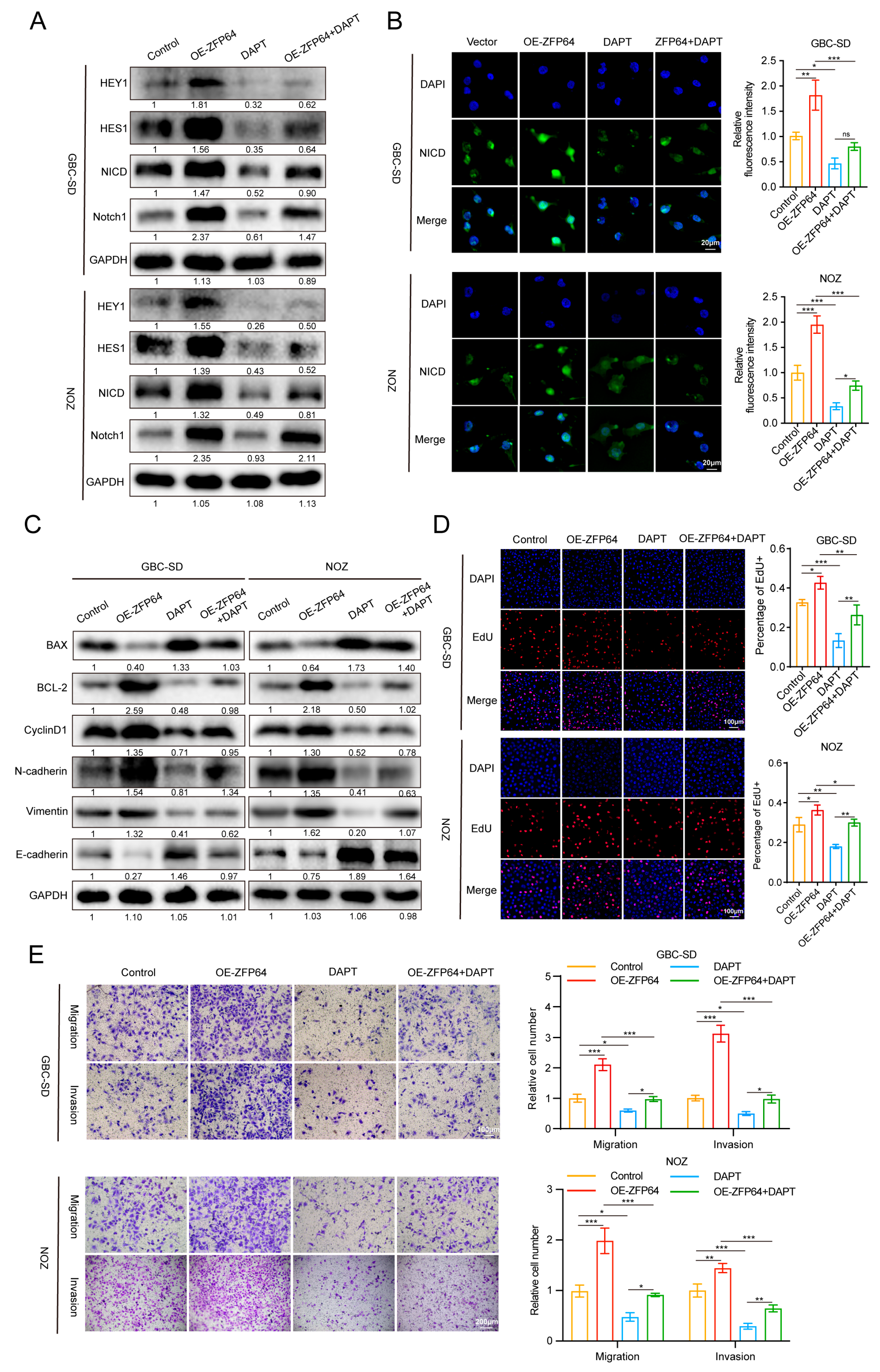 Cancers 15 04508 g004