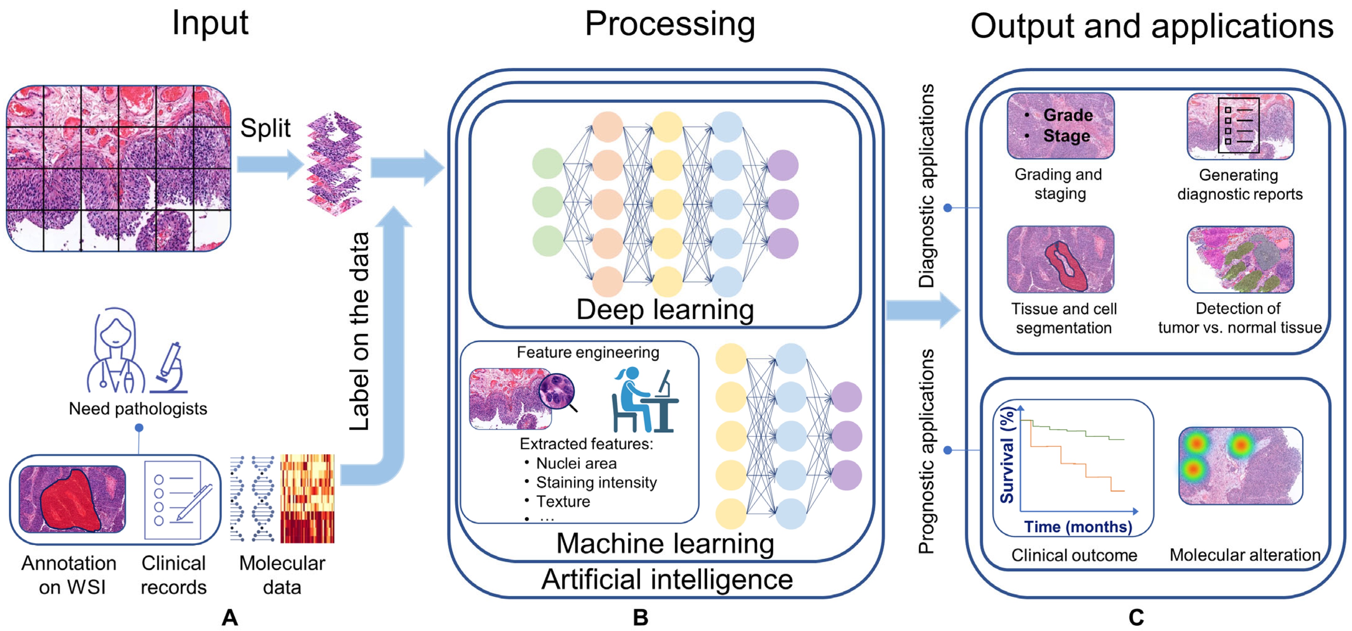 Cancers 15 04518 g001