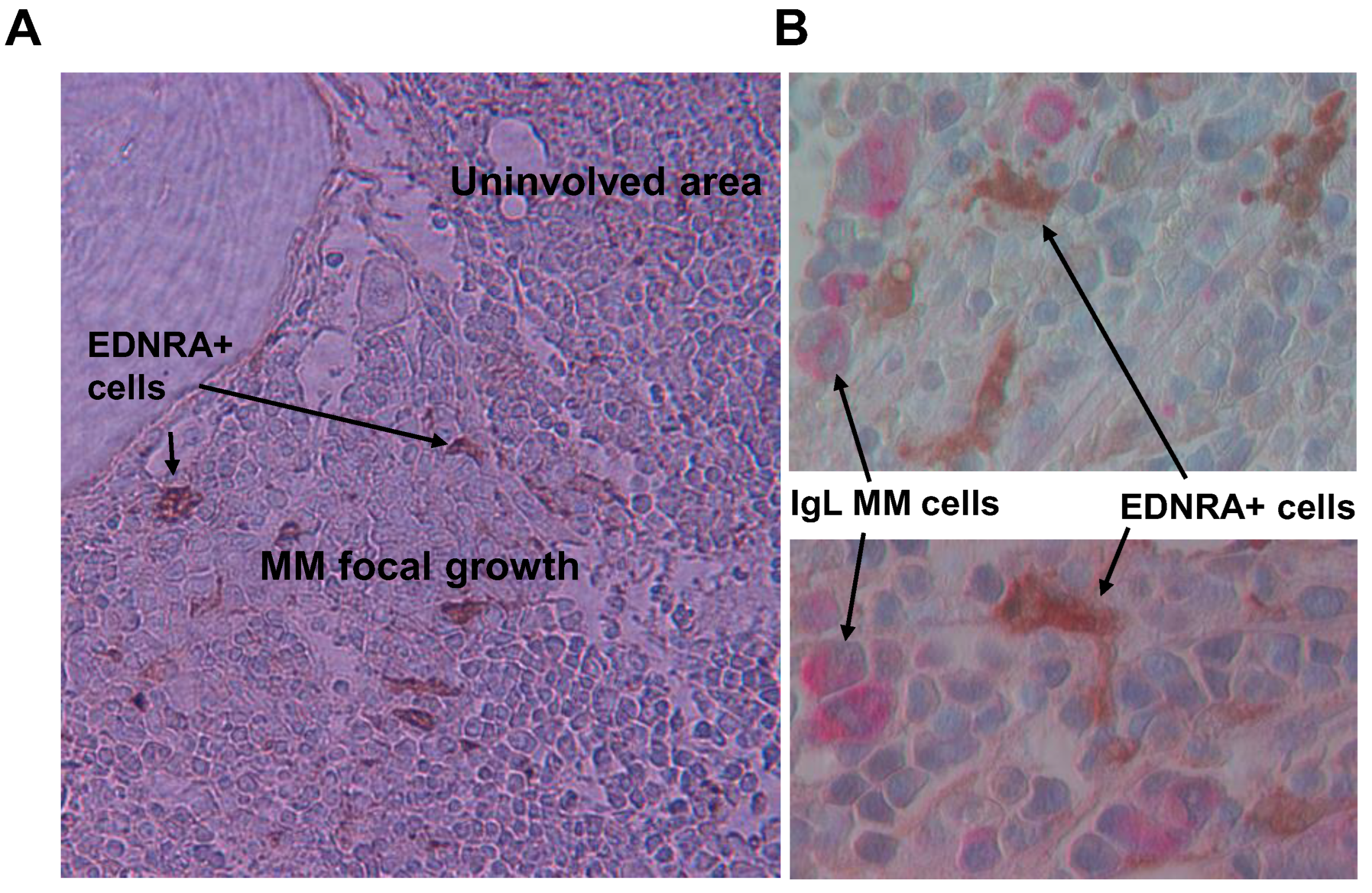 Cancers 15 04519 g005