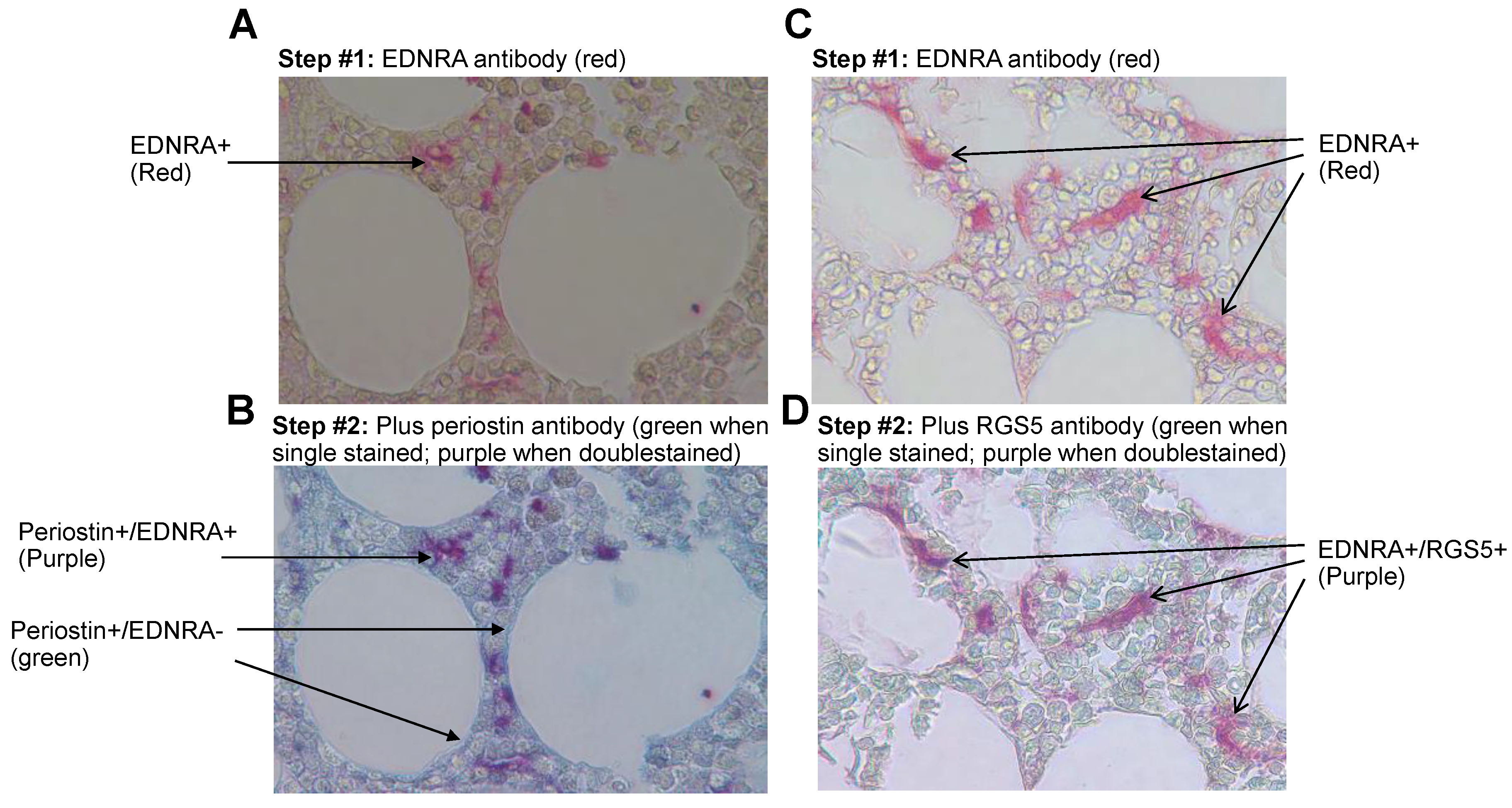 Cancers 15 04519 g006