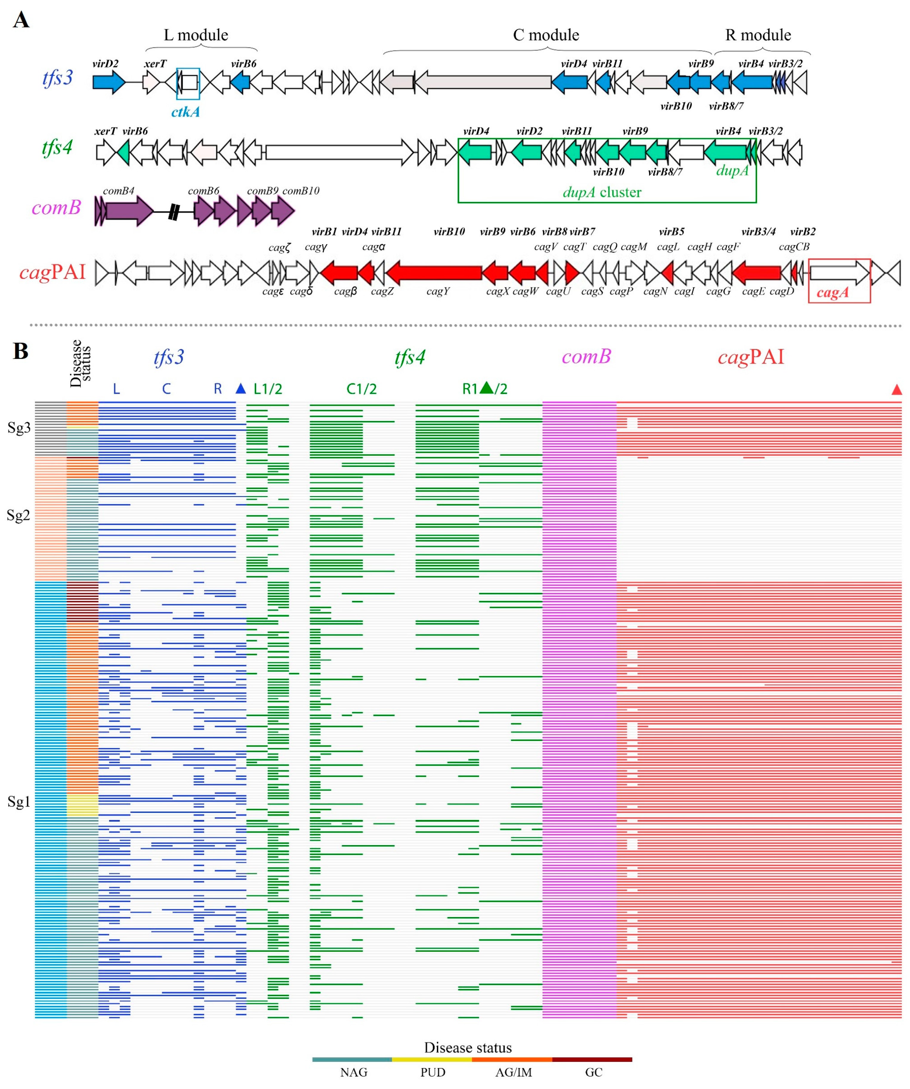 Cancers 15 04528 g004