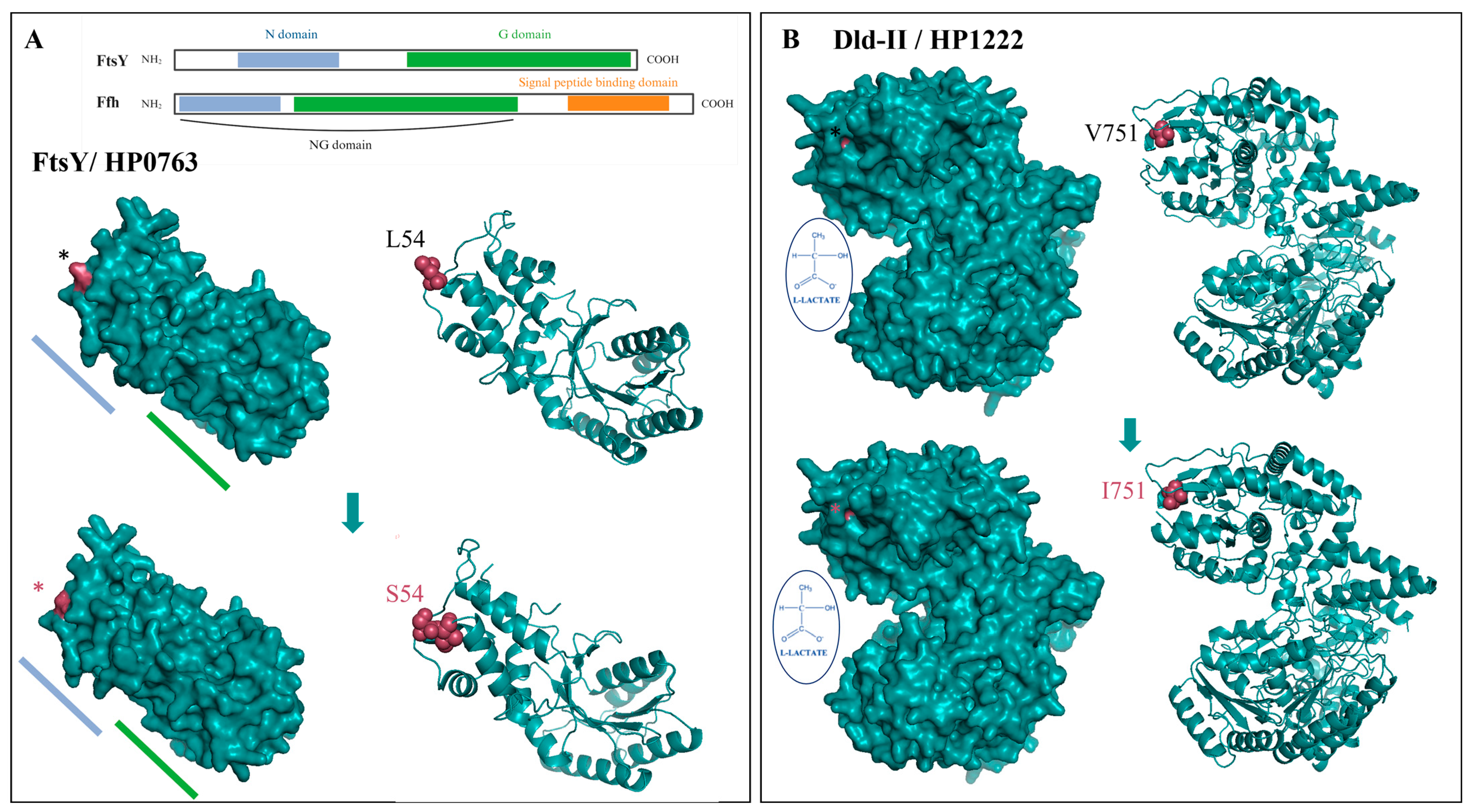 Cancers 15 04528 g006