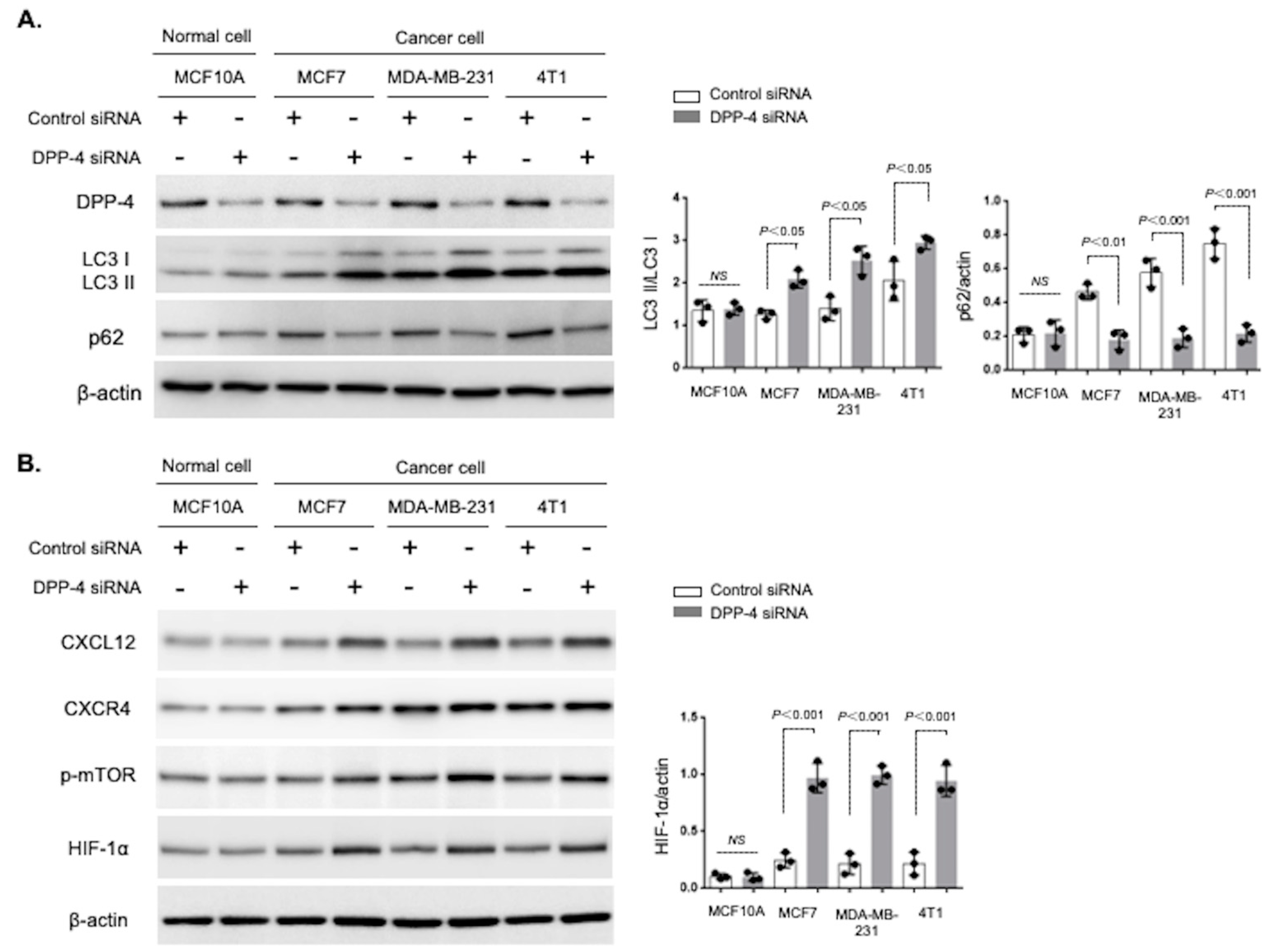 Cancers 15 04529 g001 Cancers 15 04529 g001