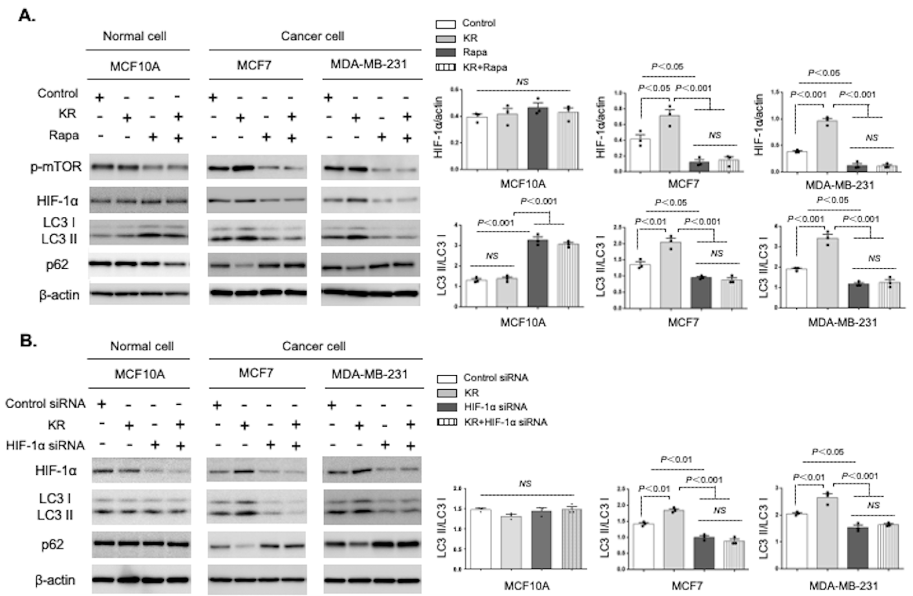 Cancers 15 04529 g003 Cancers 15 04529 g003