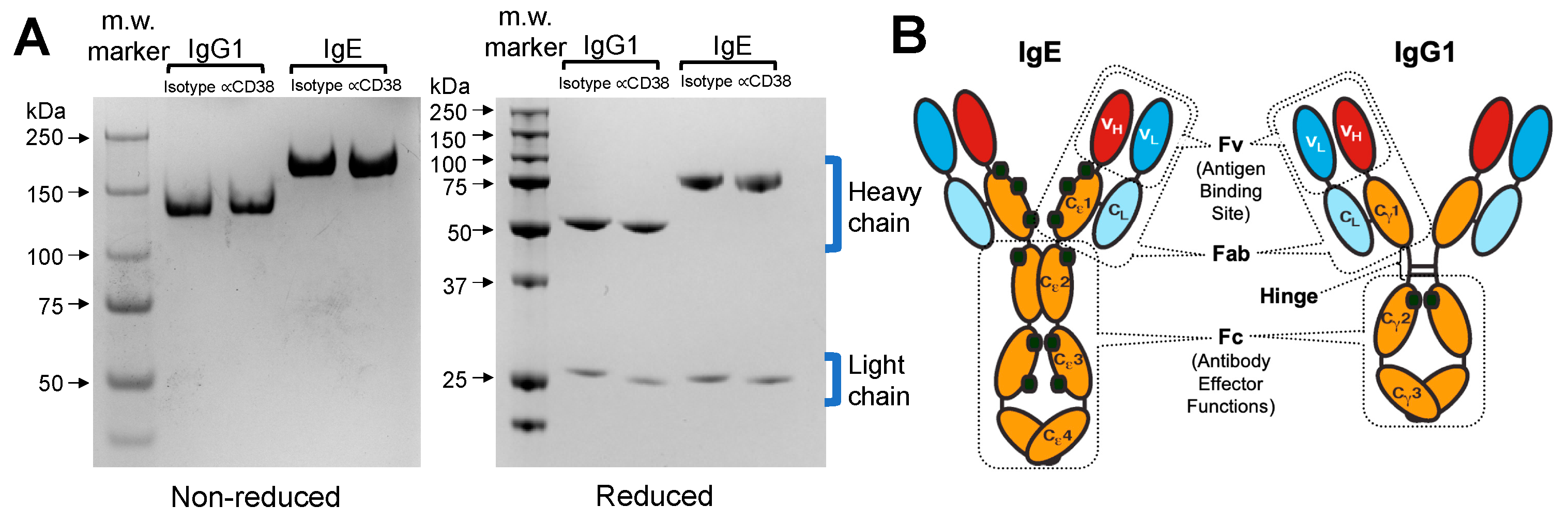 Cancers 15 04533 g001