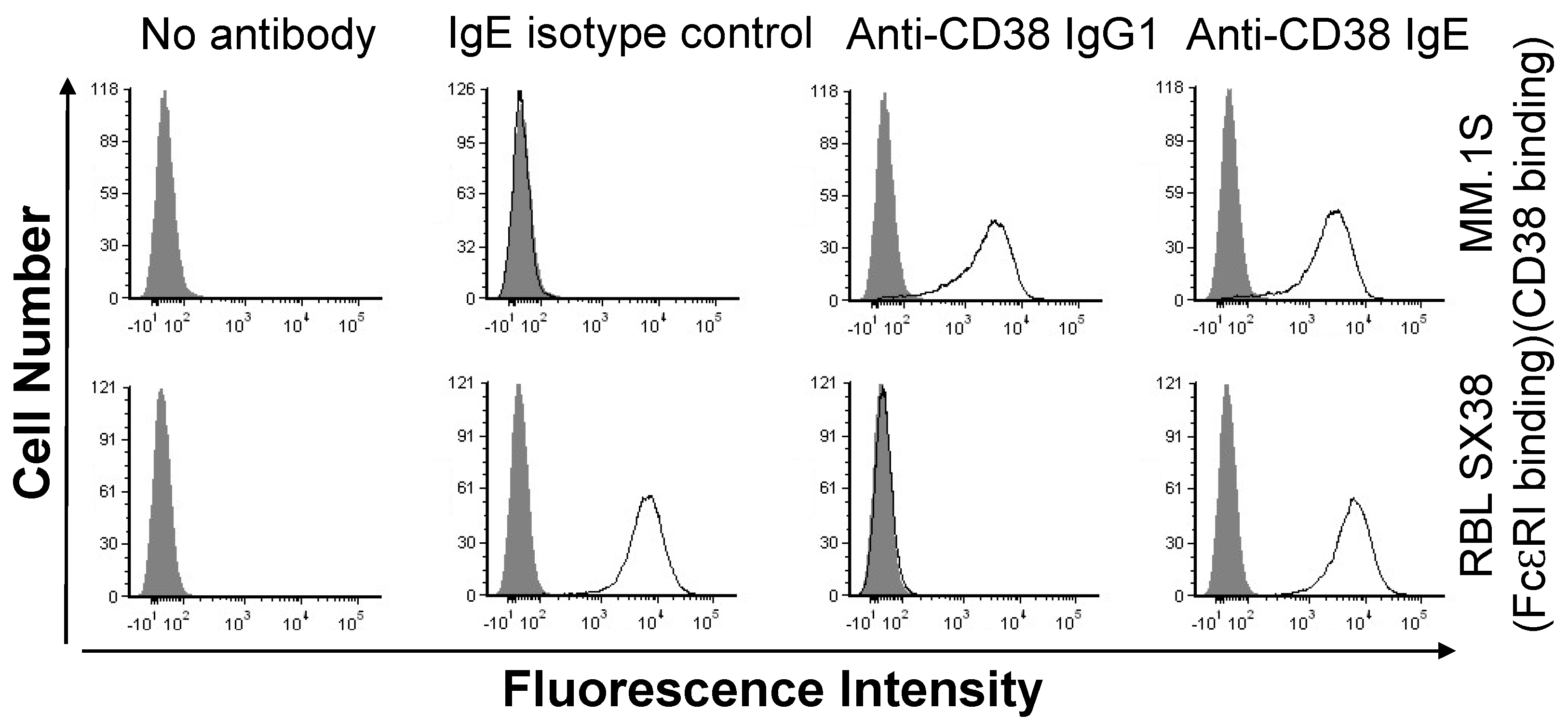 Cancers 15 04533 g002