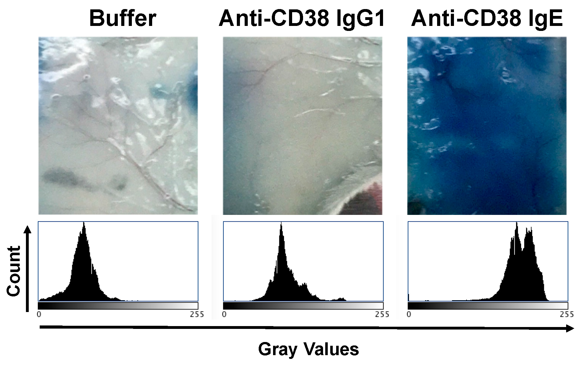 Cancers 15 04533 g004