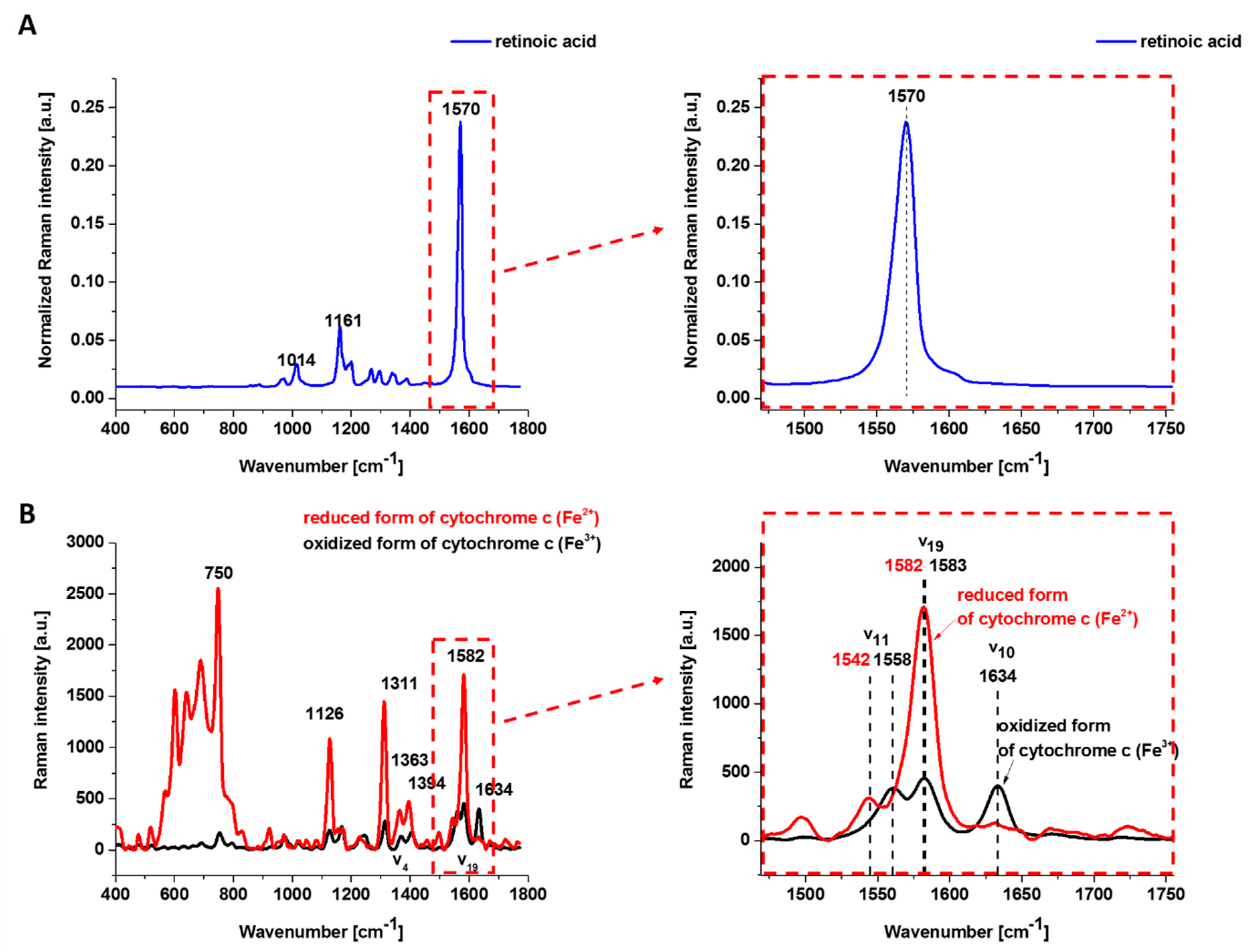 Cancers 15 04535 g001